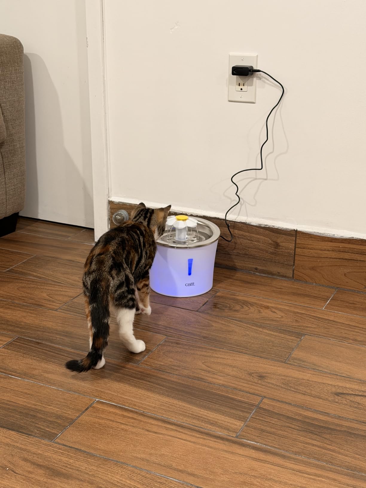Catit LED Flower Fountain with Triple Action Filter, 3 L, Blue customer photo 2