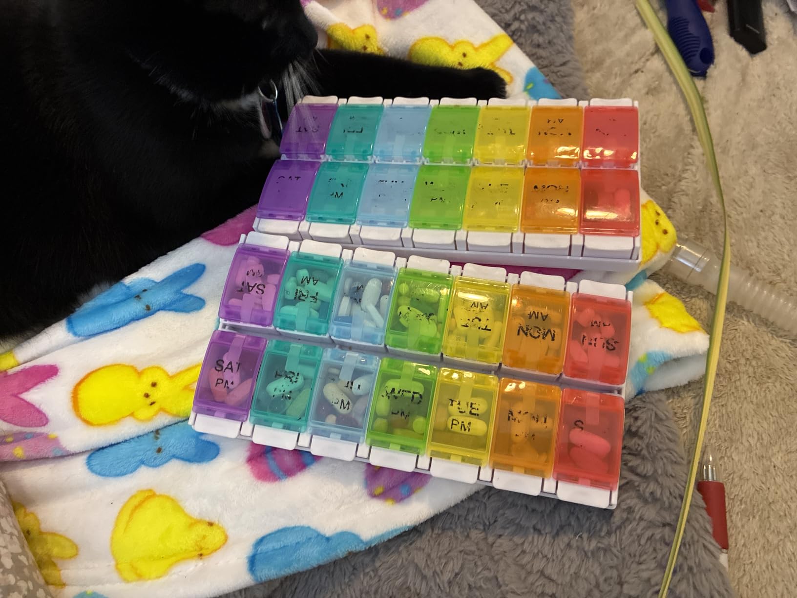 Sukuos AM PM Weekly Pill Organizer 2 Times A Day, Large Daily Pill Box Case 7 Day with Easy Push Button Design, Detachable Medicine Holder for Vitamin/Fish Oil/Supplements (Rainbow) customer photo 1