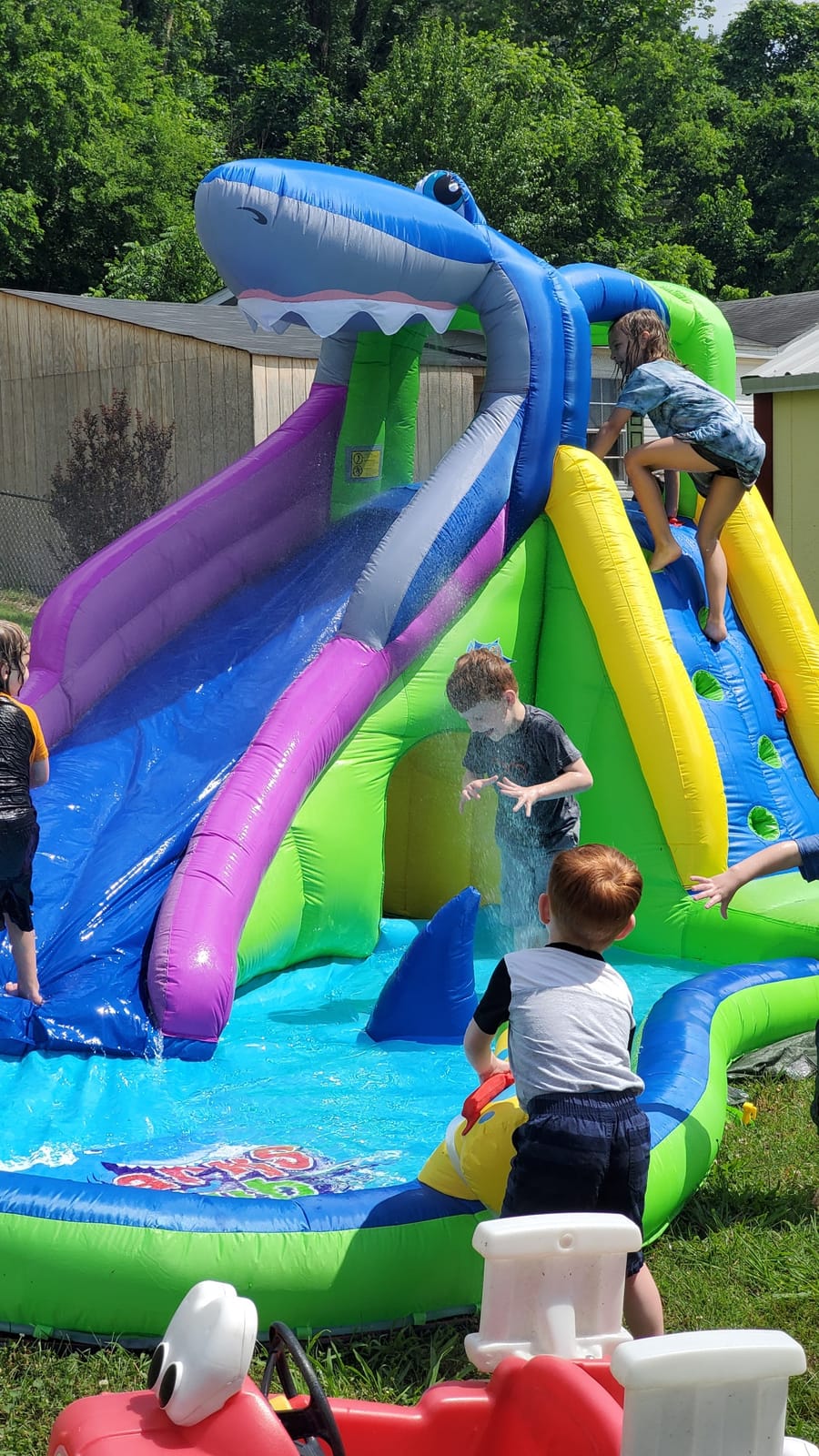 ACTION AIR Inflatable Water Slide, Shark Bounce House with Slide for Wet and Dry, Playground Sets for Kids Backyard, Water Spray & Water Pool, Durable Sewn with Extra Thick Material customer photo 1