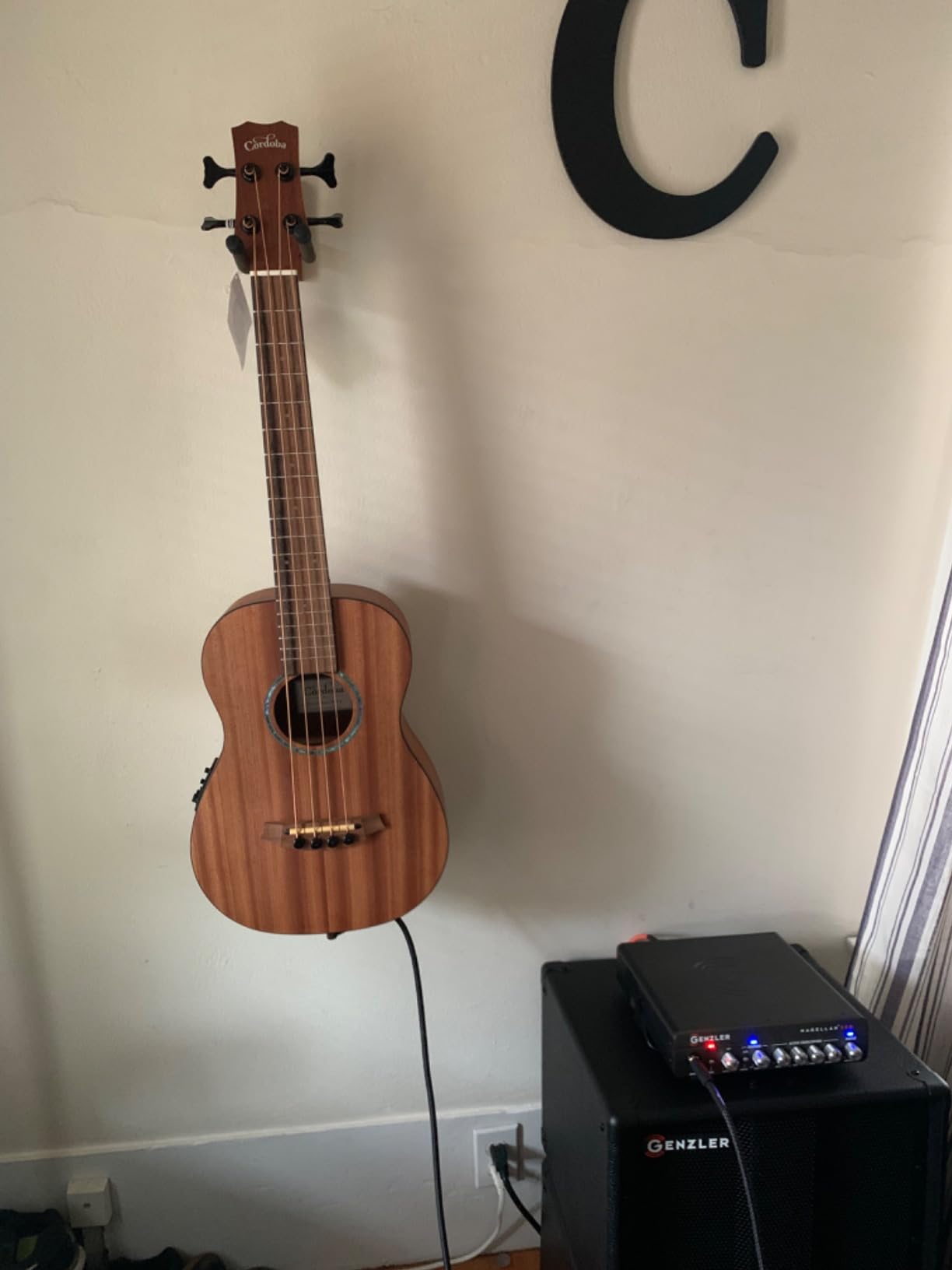 Cordoba Mini II Acoustic Electric Bass MHE customer photo 1