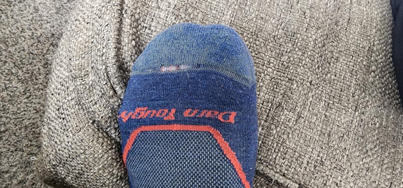 Darn Tough Men's Light Hiker Micro Crew Lightweight Hiking Socks (Style 1972) customer photo 1