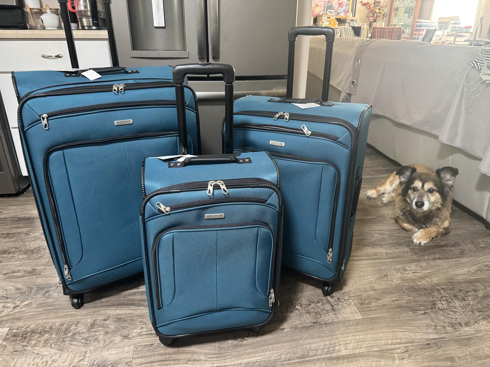 American Tourister Pop Max Softside Luggage with Spinner Wheels, Teal, 3-Piece Set (21/25/29) customer photo 2