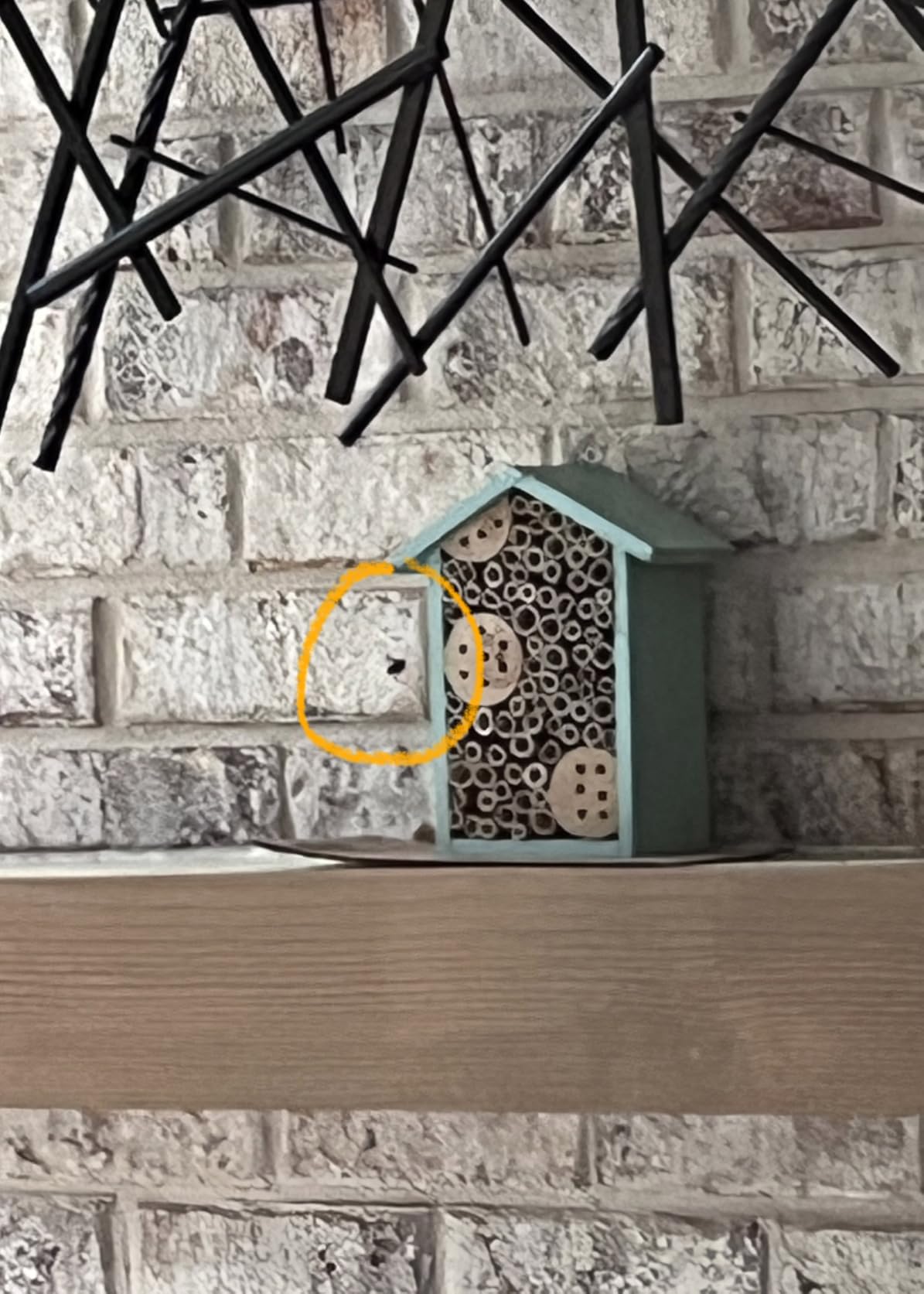 Nature's Way Bird Products PWH1-C Teal Bee House customer photo 1