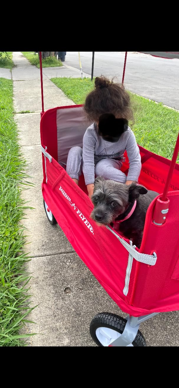Radio Flyer 3-in-1 Off-Road EZ Fold Wagon with Canopy, for Kids 1.5+, 3-in-1 Push or Pull, with Bench Mode, One Hand Flat Fold, Off-Road Tires, DuraClean Fabric, Seat Belts, Stroller Wagon for Kids customer photo 1
