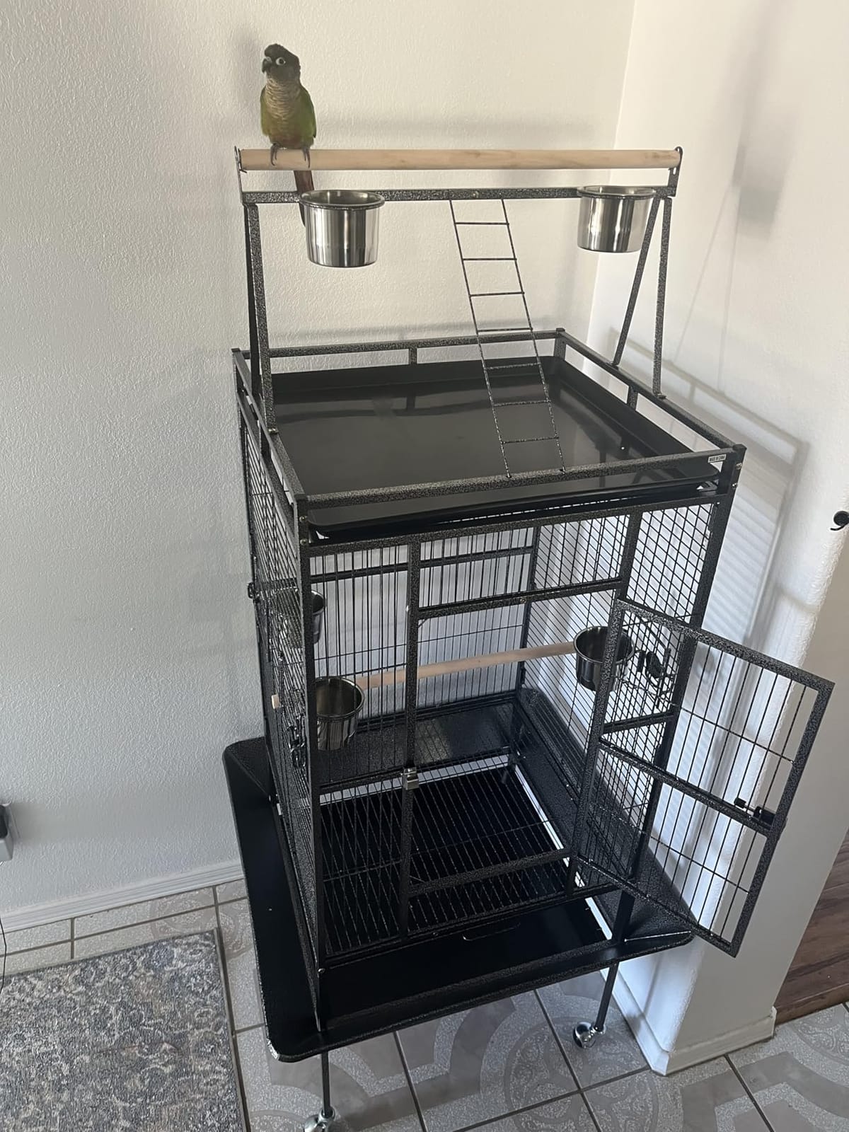 ZENY 68-Inch Birdcage, Playtop Parrot Cage, Wrought Iron Bird Cage with Rolling Stand, Heavy-Duty Pet Bird House for Parrot Cockatiel Cockatoo Parakeet Macaw Finches, Black customer photo 2