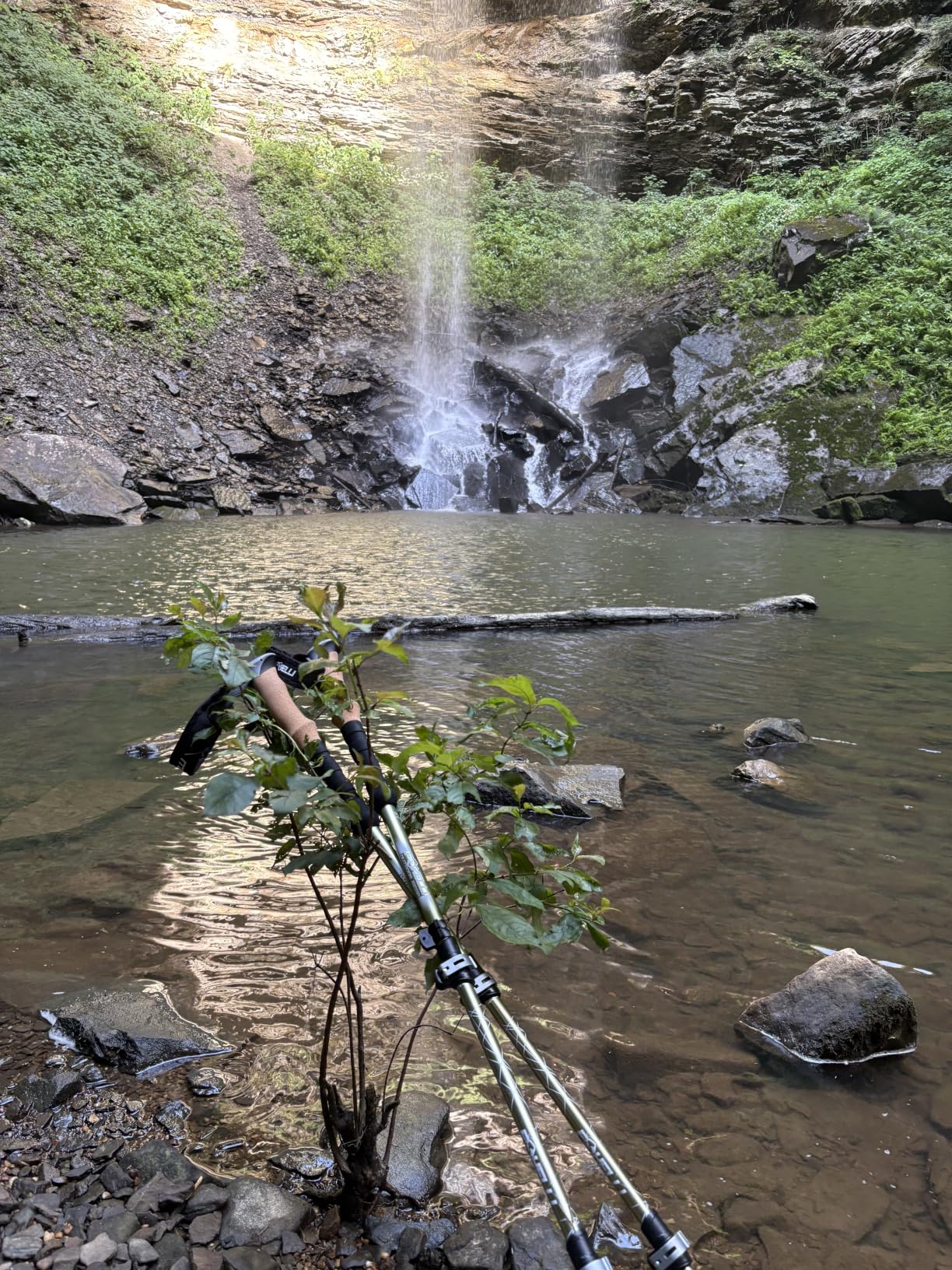 Foxelli Trekking Poles - Lightweight Collapsible Aircraft Grade Aluminum Hiking Poles with Cork Grips Quick Locks & All-Terrain Accessories - Pair of 2 customer photo 1