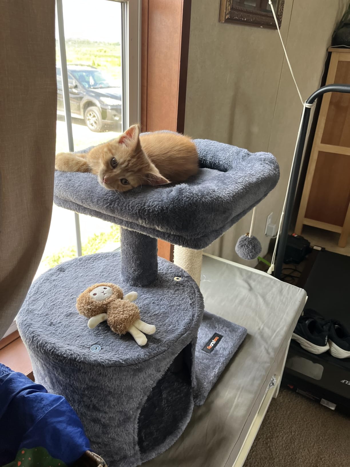 Feandrea Cat Tree, 18.5-in Small Cat Tower, Cute Kittens Condo, Light Gray | for Small Space Room, with Sisal Scratching Posts, Large Padded Perch, Spacious Cave, Toy Ball, Easy to Assemble customer photo 2