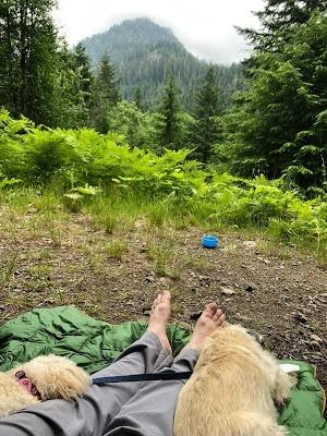 Horizon Hound Down Camping Blanket 650 Fill Power - Ultralight Backpacking Quilt (1lb 6oz) Warm & Water-Resistant 20D Nylon Shell for Outdoors, Camping, Hiking, Travel, & Stadium - Packable customer photo 1