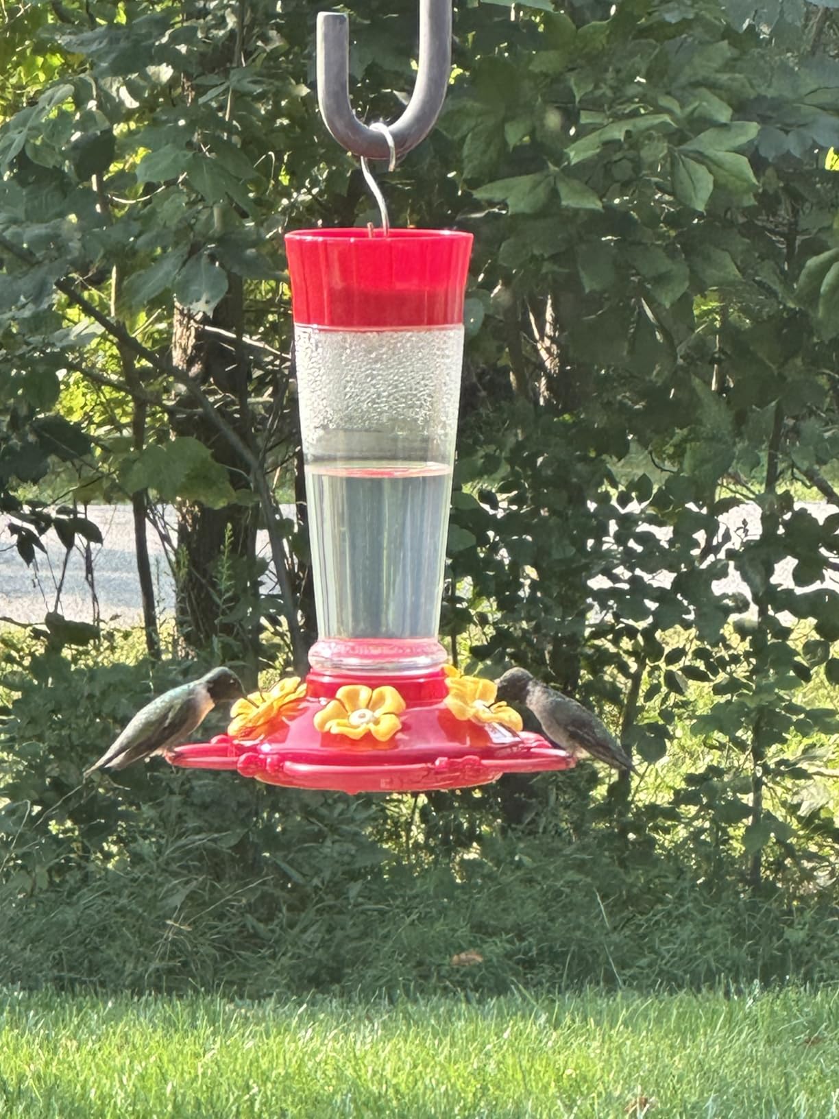 Hummingbird Feeder [Set of 2] Leakproof Clear Plastic 10 oz Wide Mouth. | Features A Built-in Ant Guard - Circular Perch with 5 Feeding Ports - Wide Mouth/2 Part Base for Easy Filling & Cleaning. customer photo 1