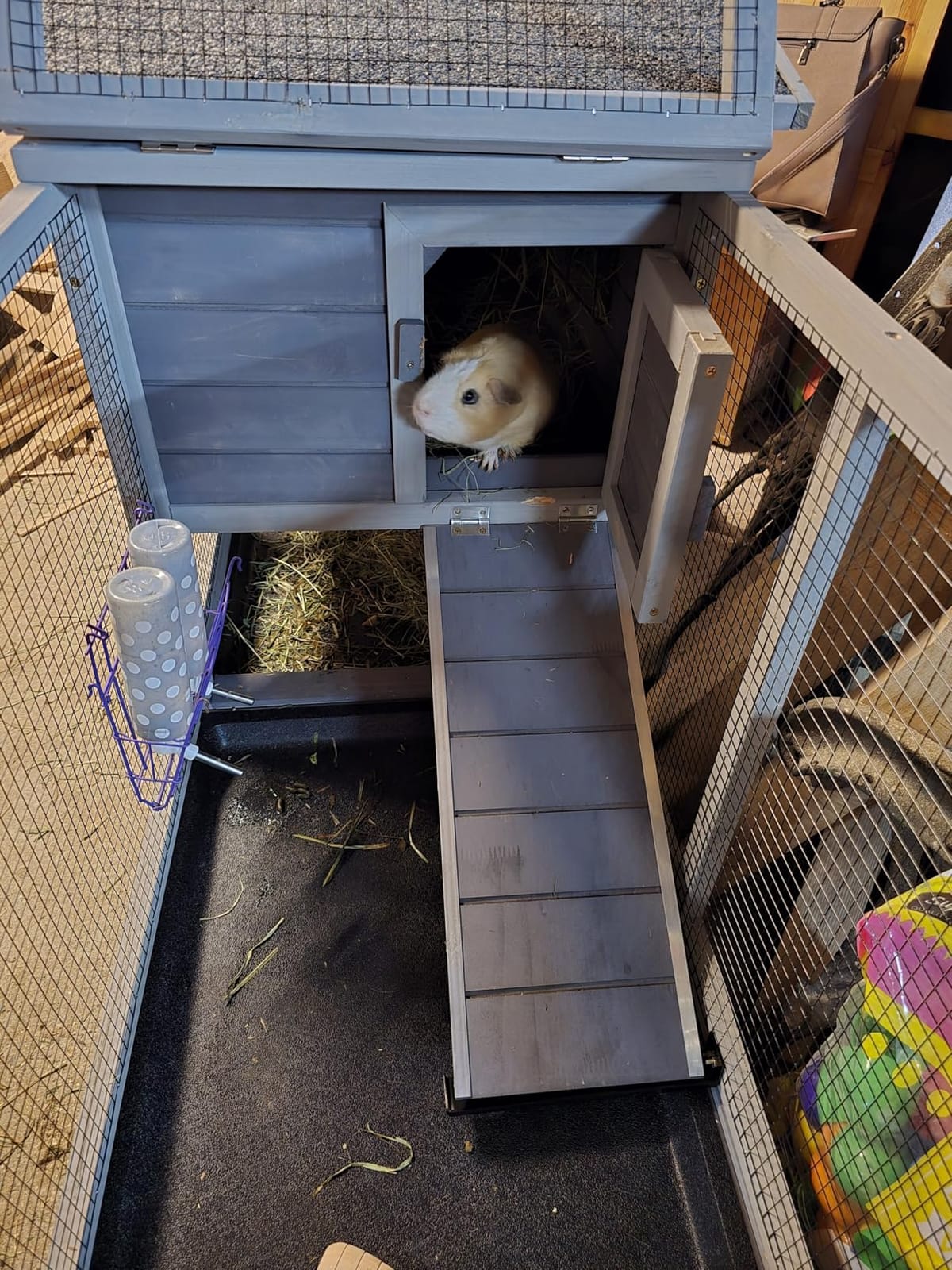 Aivituvin Rabbit Hutch Outdoor Indoor Rabbit Cage Chicken Coop with Casters Guinea Pig Cage with 3 Deep No Leakage Pull Out Tray, Waterproof Roof customer photo 1