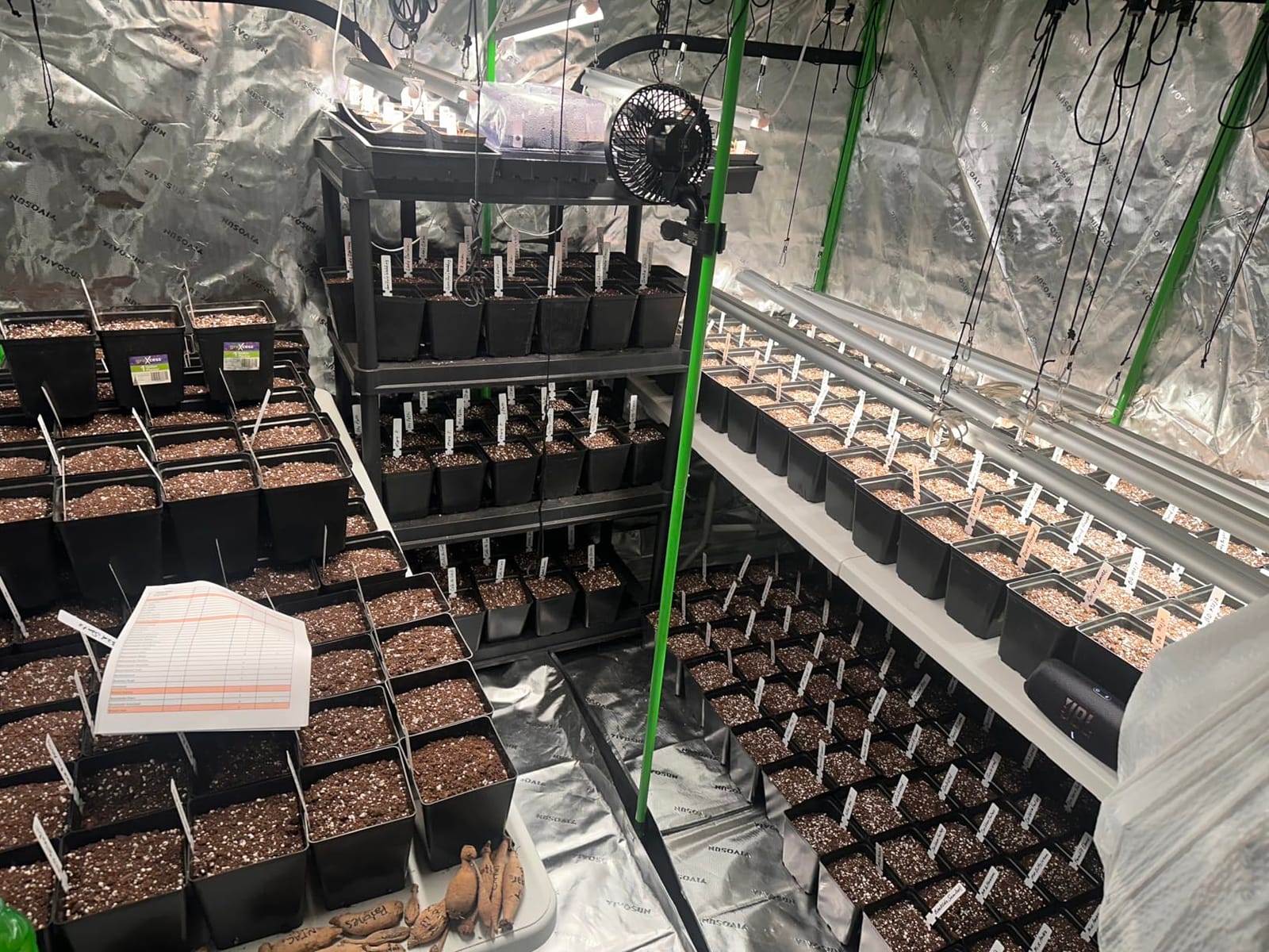 Barrina LED Grow Light, 252W(6 x 42W) 4ft T8, Full Spectrum, Pink, 6 Packs customer photo 1
