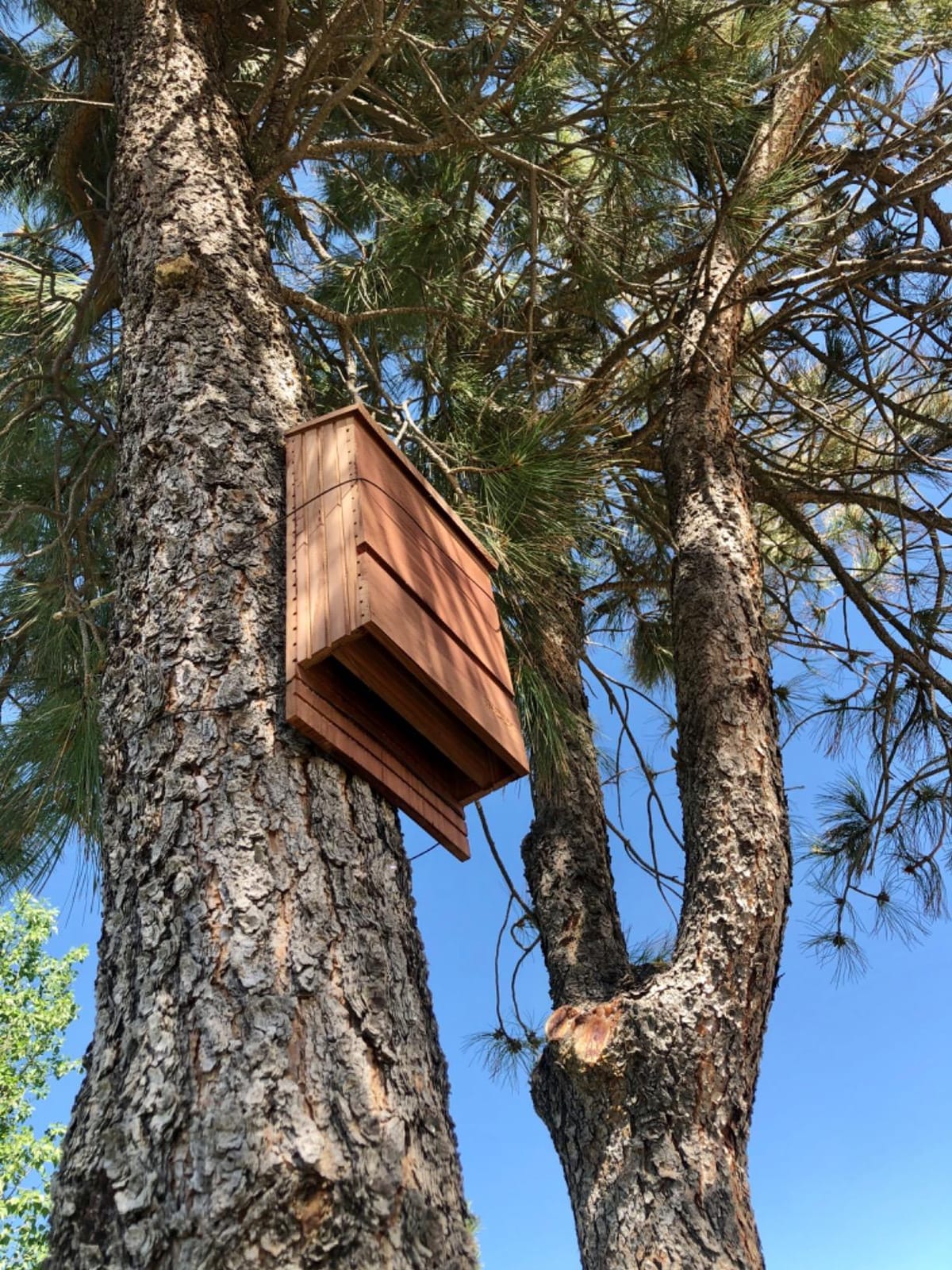 INCLY Bat House for Outdoors 15