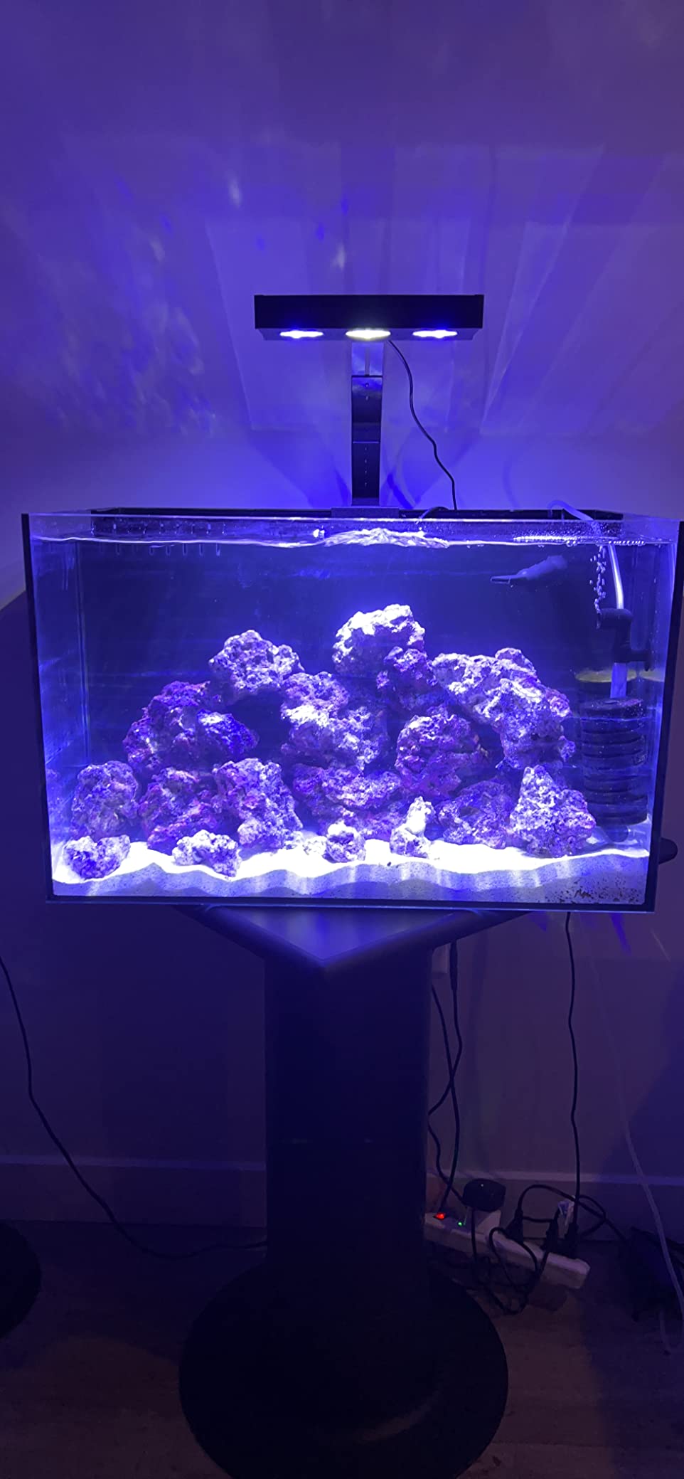 Empire USA - 24 Gallon All-in-One Aquarium Kit, Rimless Low Iron Glass AIO Saltwater & Freshwater Fish Tank, Complete Nano Reef Tank Setup for Home or Office customer photo 2