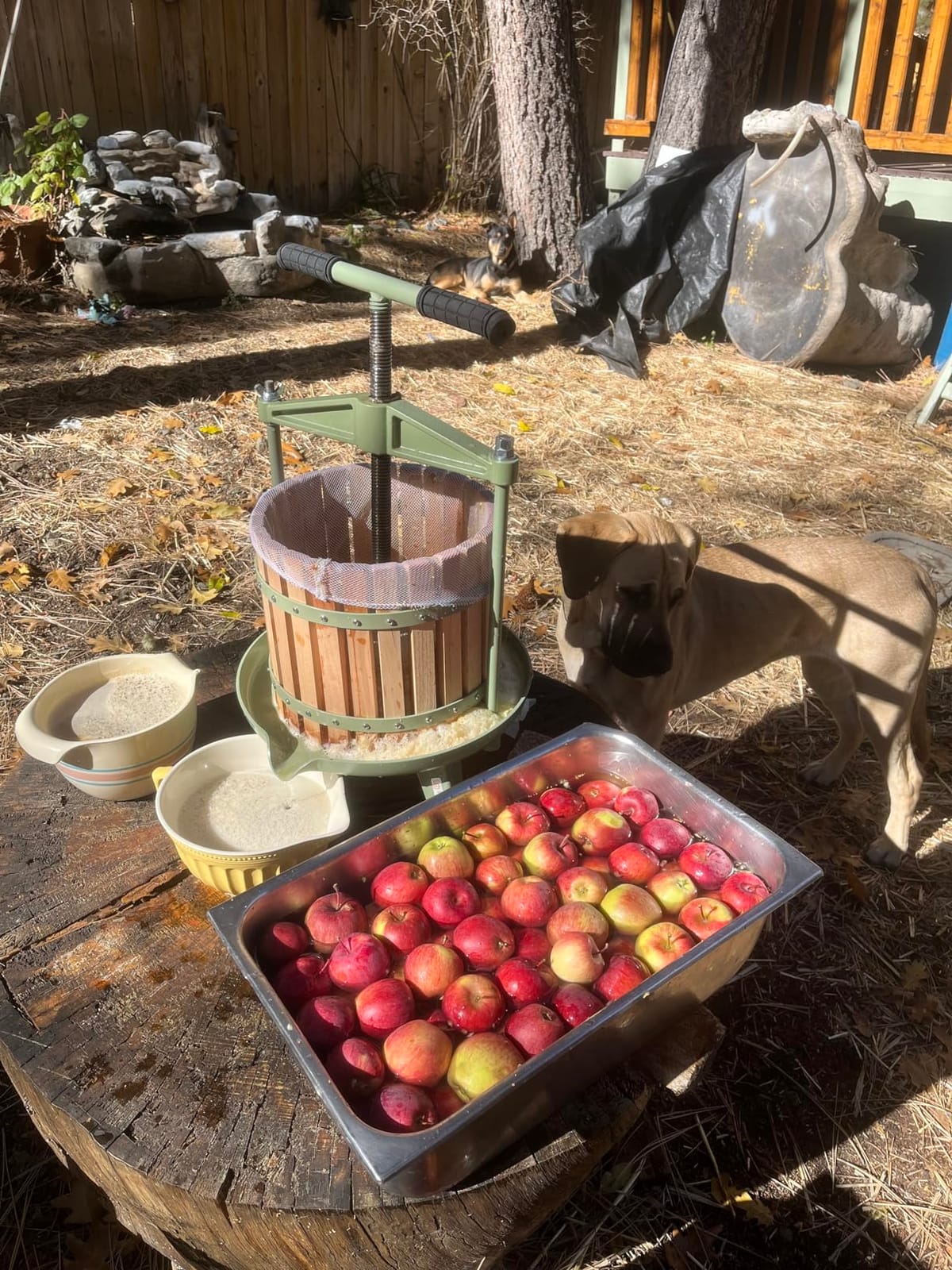 SQUEEZE master Fruit Wine Cider Press - Solid Wood Basket- 4.75 Gallon/18L-T Handle Bar-More Stable-Vintage traditional juicer,Apple Grape Fruit press for Juice Maker-1 free filter bag included(Red) customer photo 2