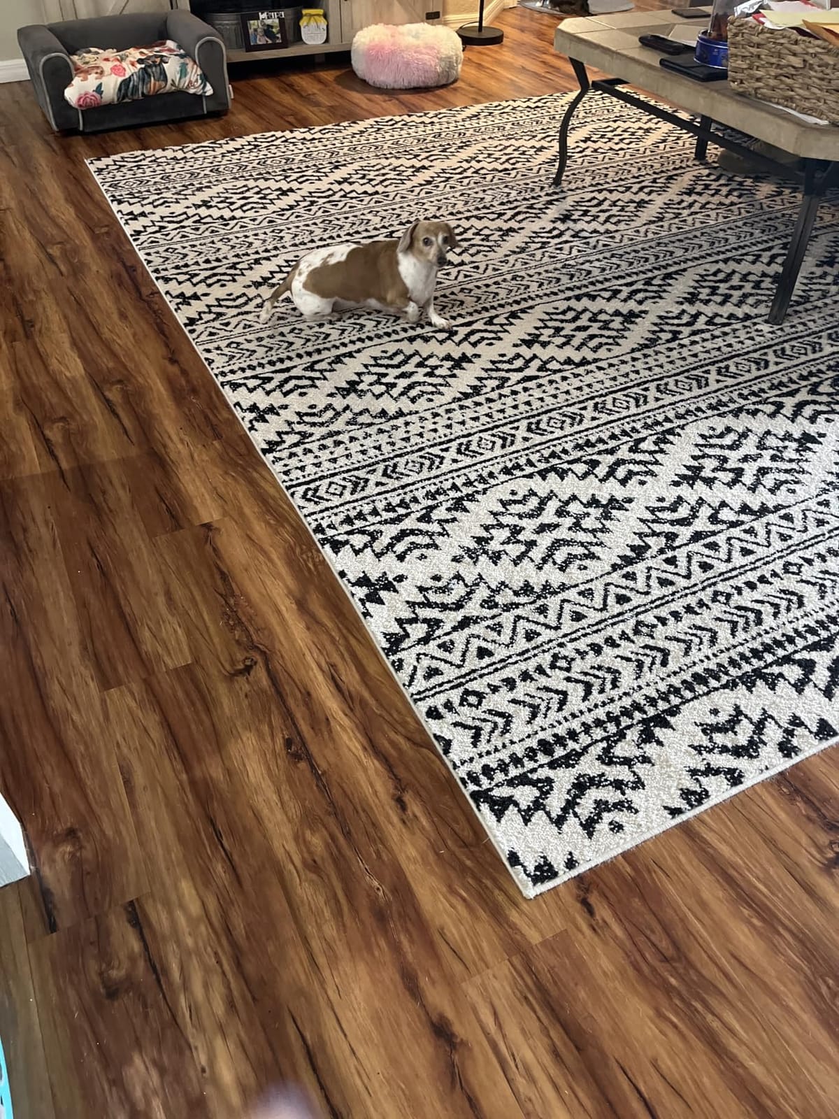 SAFAVIEH Area Rug 8x10 - Tulum Collection - Large - Ivory & Grey, Moroccan Boho Tribal Design, Non-Shedding & Easy to Clean, Ideal for Living Room, Bedroom, Dining Space (TUL272A) customer photo 1