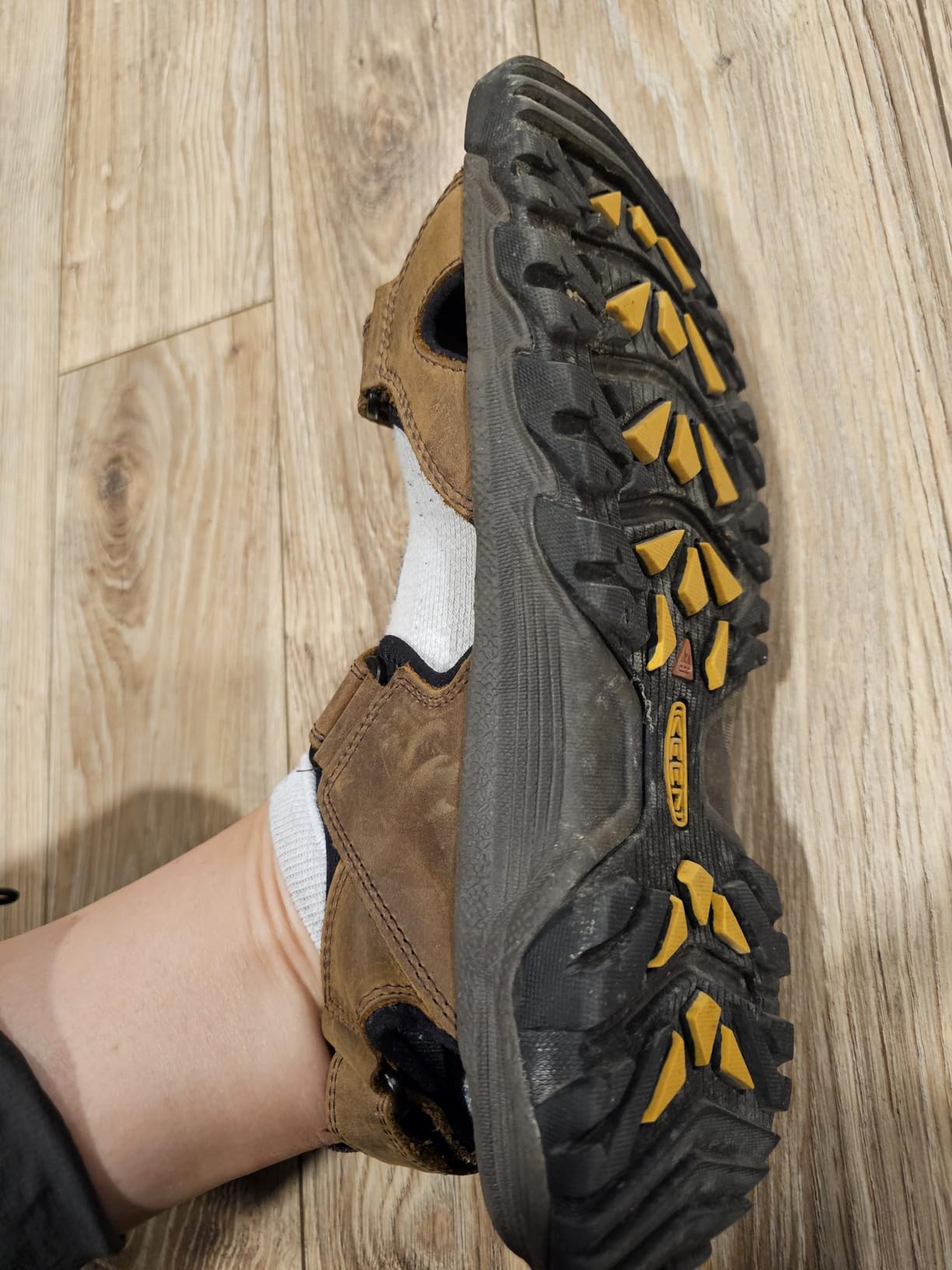 Targhee III Open Toe H2 customer photo 1