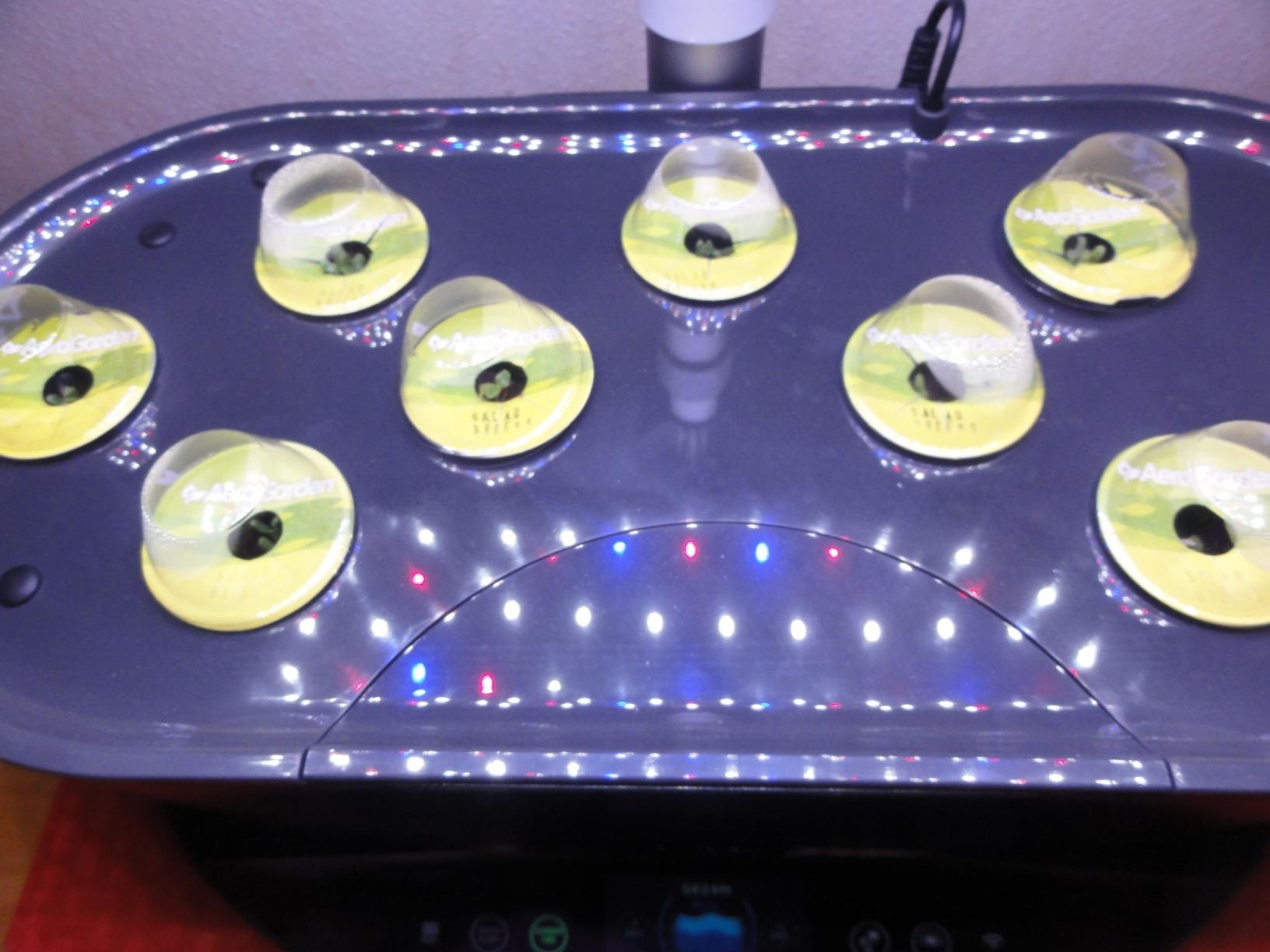 AeroGarden Bounty, White customer photo 1