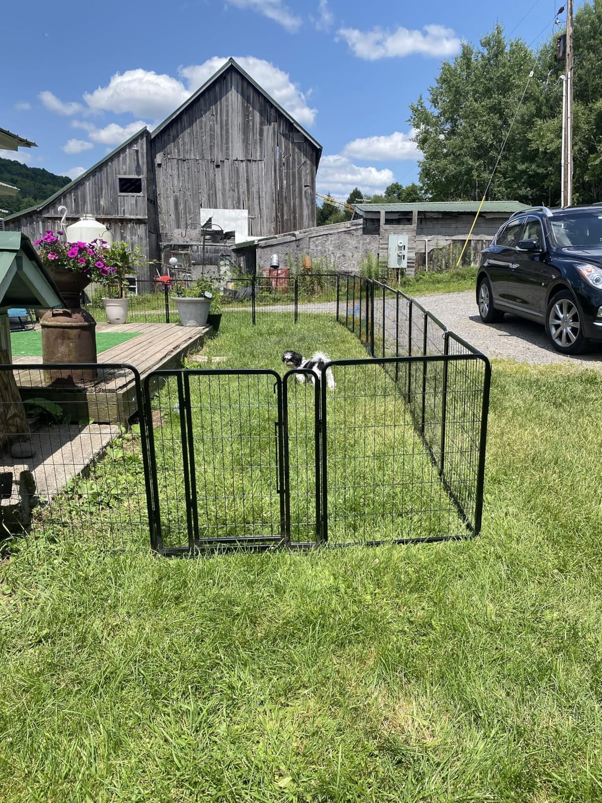 Yaheetech Dog Playpen Outdoor 40in 16-Panel Metal Fence for Yard RV Camping | Heavy-duty Rustproof Frame with Secure Latch Door, Tool-free Assembly, Foldable Storage, Ideal for Medium to Large Dog Breeds customer photo 1
