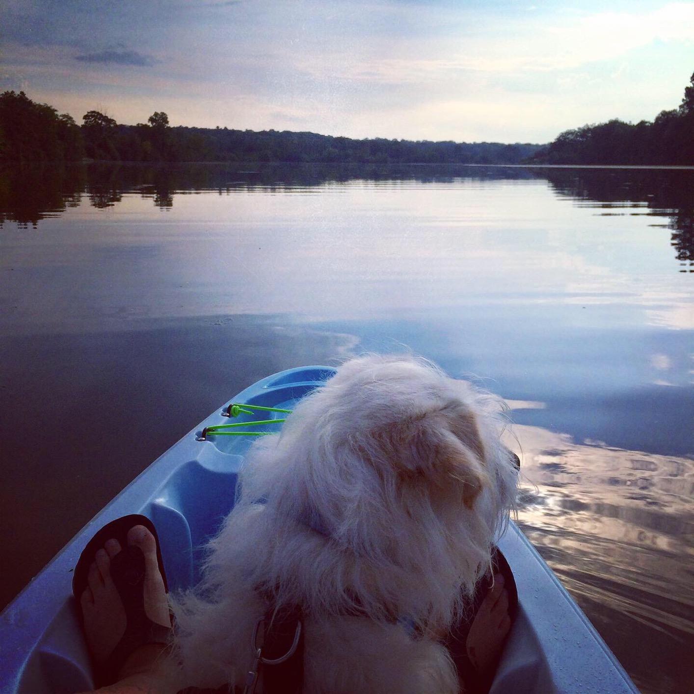 Perception Access | Sit on Top Kayak | High Back Seat | Rod Holders customer photo 1