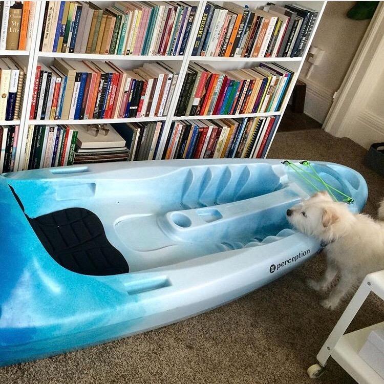 Perception Access | Sit on Top Kayak | High Back Seat | Rod Holders customer photo 2