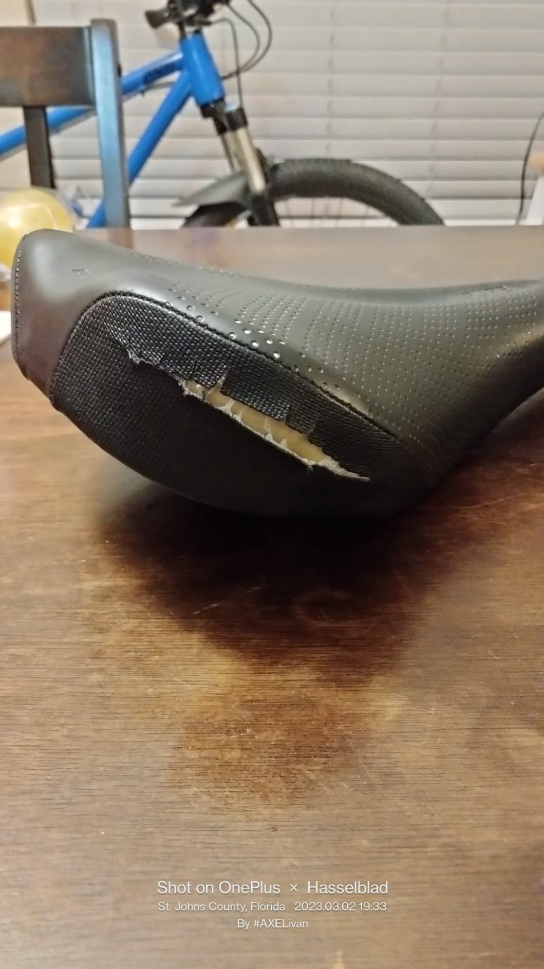 WTB Pure Mountain Bike Seat (Saddle) - Thick All-Day Comfort Padding (2 Rail Options) customer photo 2