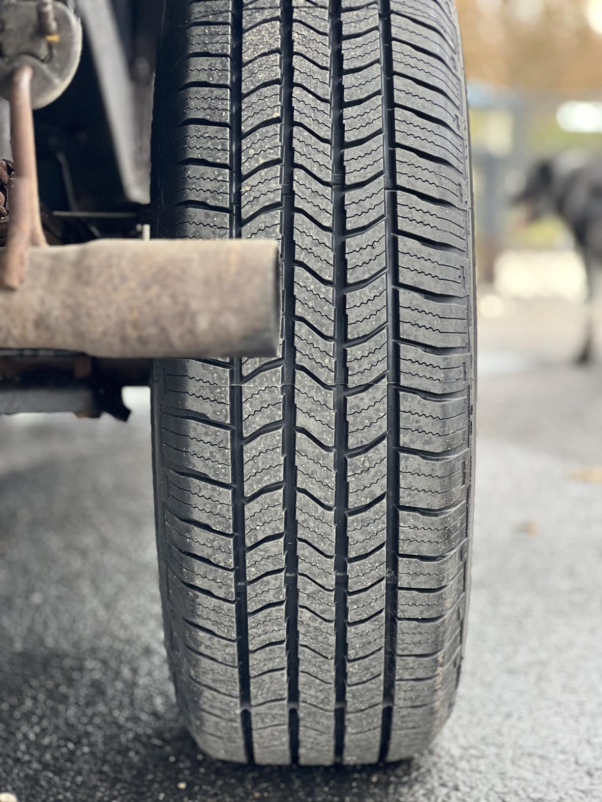 Starfire Solarus HT All-Season 245/60R18 105H Tire | Truck/SUV Highway All Season Traction 105H Rated Standard Load Radial Construction Black Sidewall Tire customer photo 2