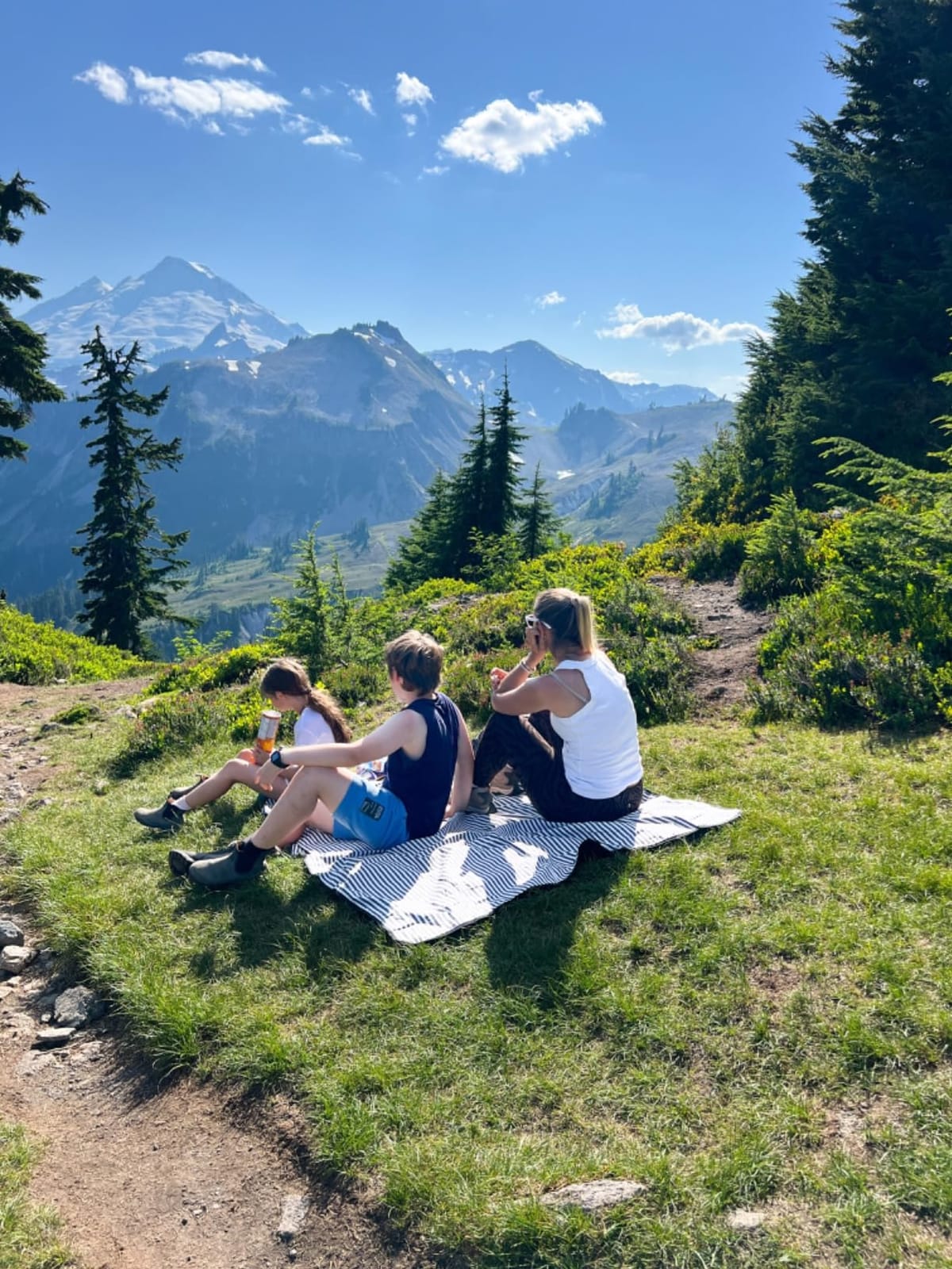 G GOOD GAIN Waterproof Picnic Blanket Portable with Carry Strap for Beach Mat or Family Outdoor Camping Party (Navy Blue) customer photo 1