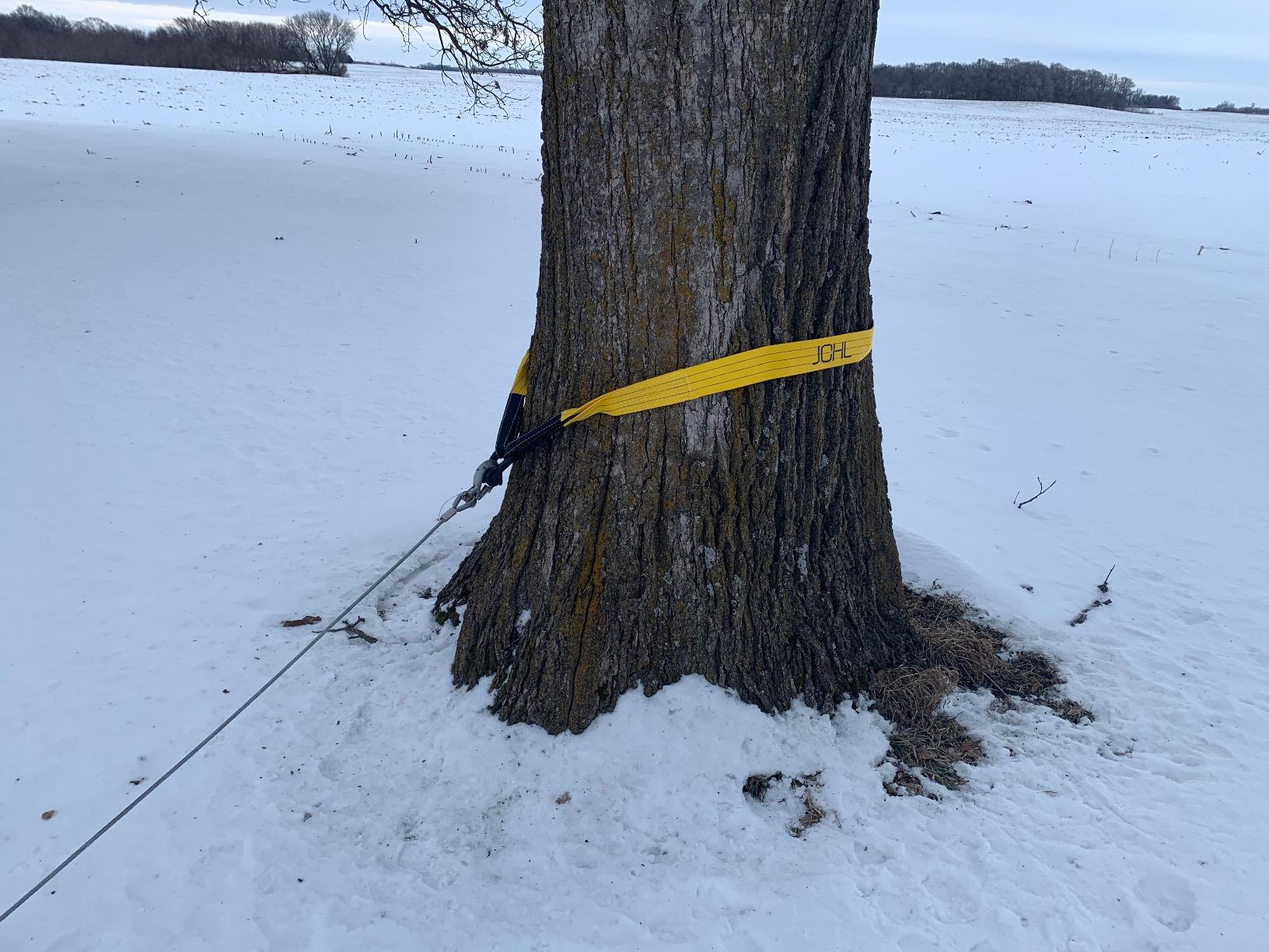 Tree Saver Strap, 3 inchX9 Foot Winch Strap, Heavy Duty 36,000 Pound Capacity customer photo 1