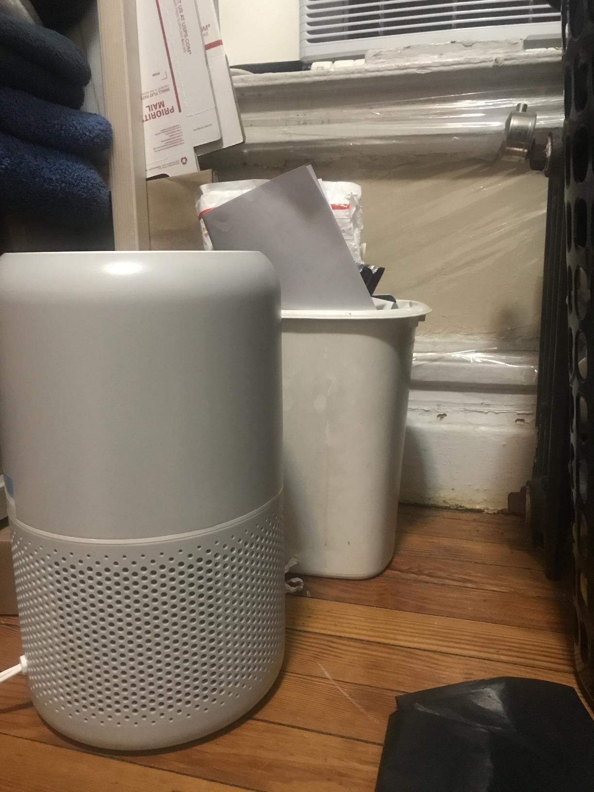 Levoit Air Purifier for Home Pets, Large Room Bedroom, AHAM VERIFIDE, HEPA Sleep Mode, Core P350-P customer photo 1