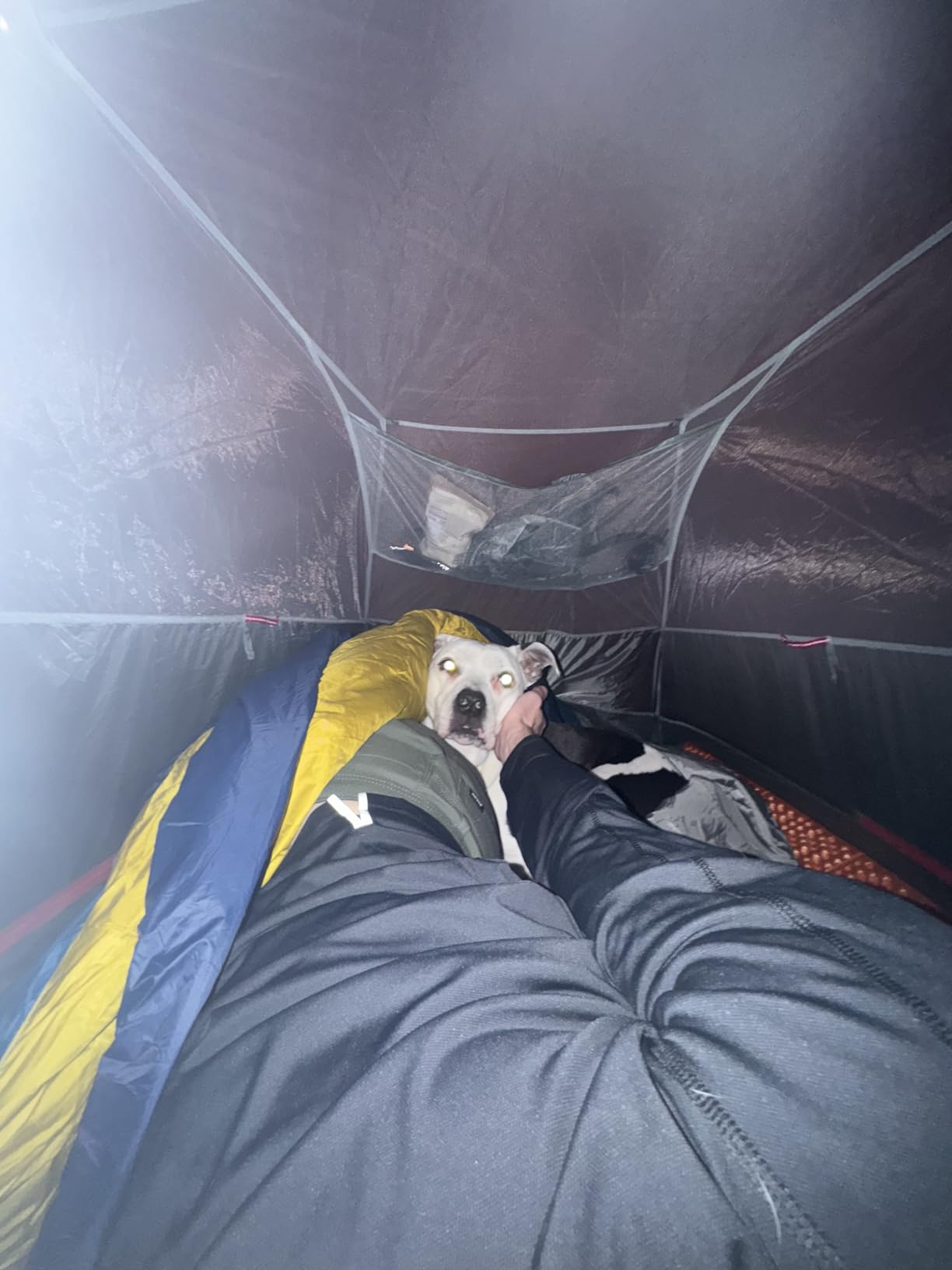 Big Agnes Copper Spur HV UL2 Ultralight Backpacking Tent customer photo 2