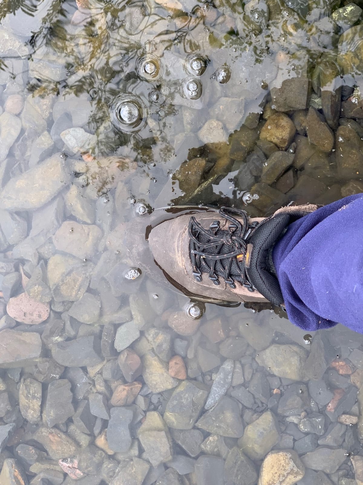 Columbia Men's Newton Ridge Plus II Waterproof Hiking Boot customer photo 2