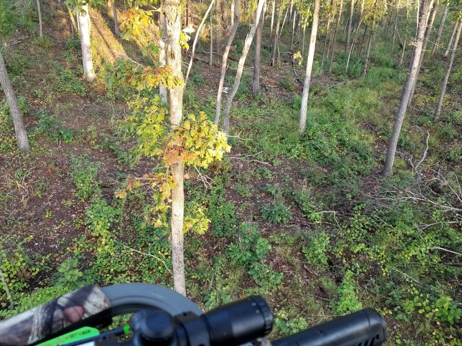 PhaZe Body Odor System (5pk) - #1 Deer Hunter's Scent Elimination & Scent Control System! customer photo 1