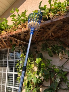 Oak Leaf Fruit Picker Pole with Basket, 13 FT Length Adjustable | Apple Orange Picker Tool with Stainless Steel Connecting Pole customer photo 2