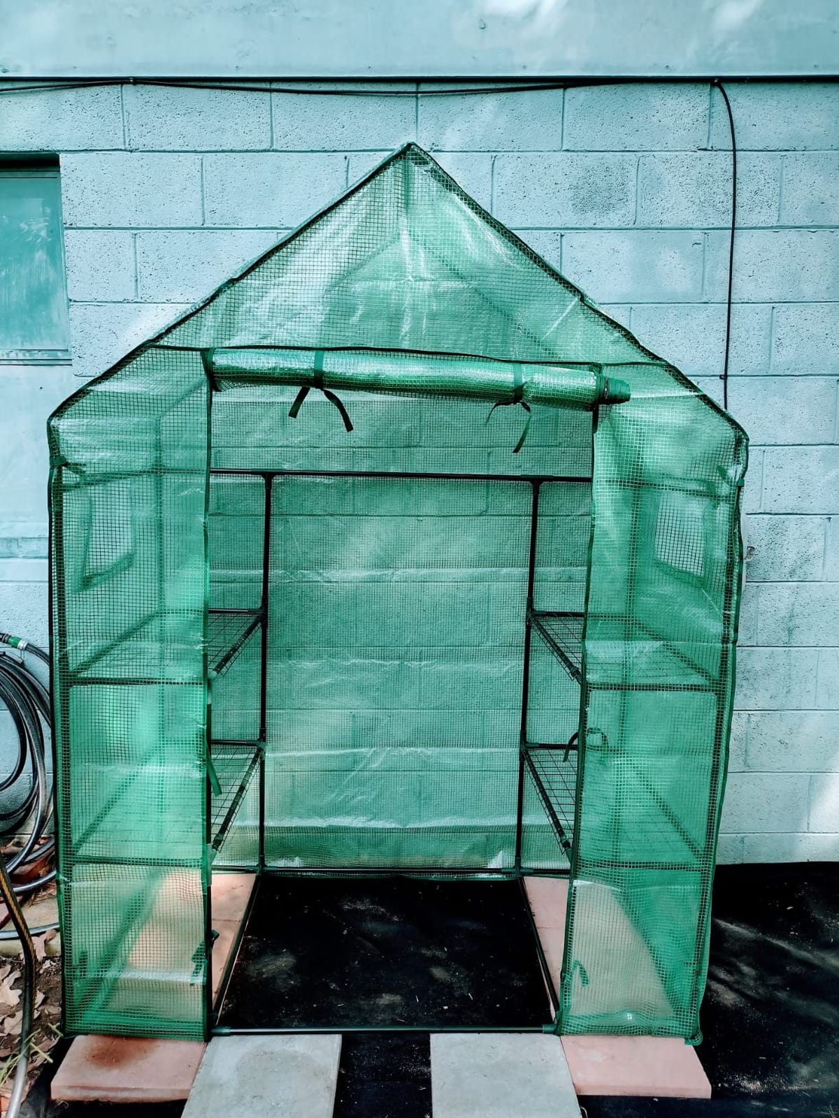 Portable Walk-in Greenhouse for Outdoors, 56x30x76 Plant House with Shelves | Green PE Cover, Roll-Up Door, 3-Tier Shelves, Steel Frame, Stakes and Ropes for Seed Starting, Flowers and Outdoor Gardening customer photo 1