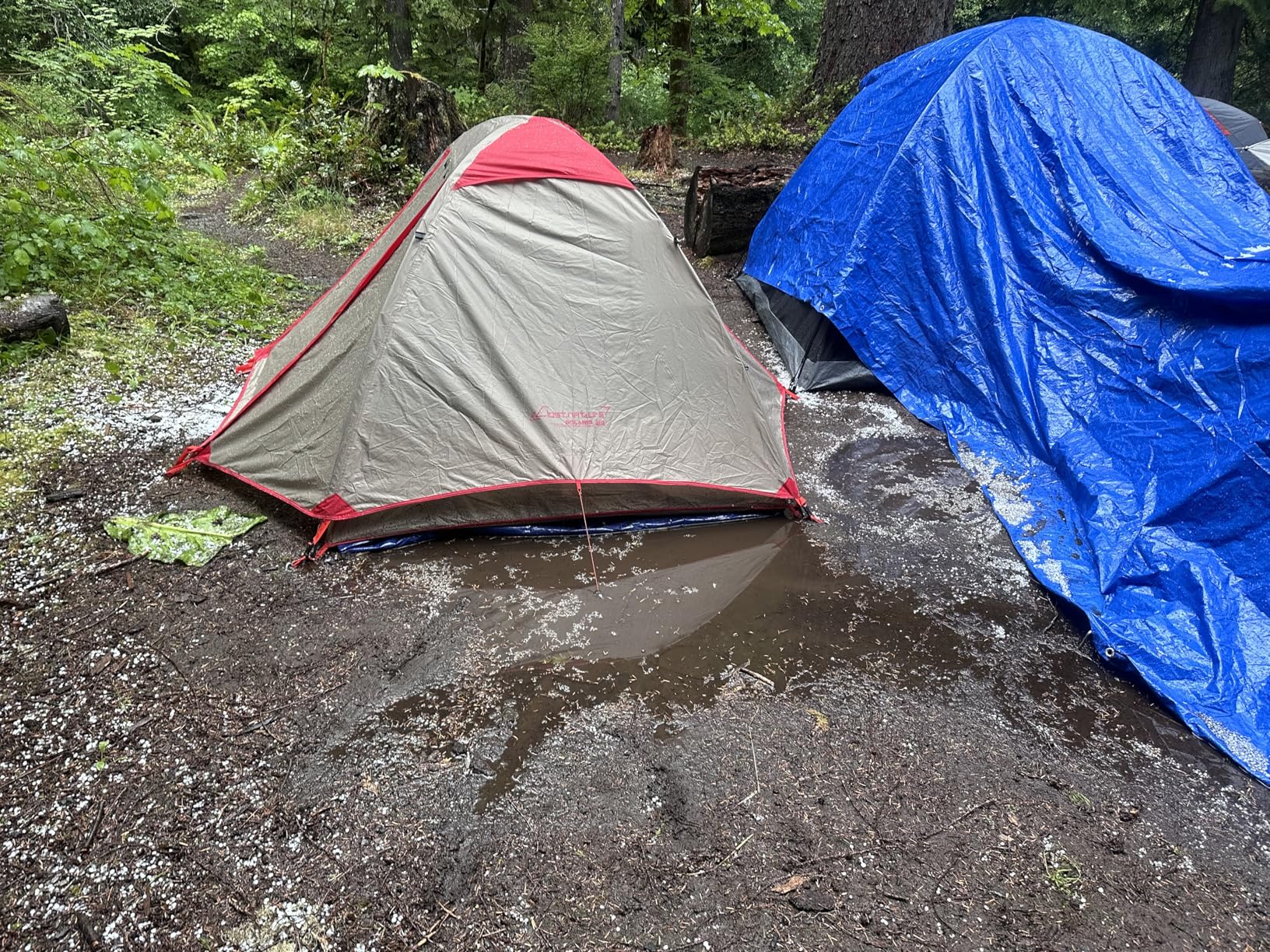 Clostnature Lightweight Backpacking Tent - 1/1.5/2/3/4/6 Person Ultralight Waterproof Camping Tent, 3 Season Large Size Easy Setup Tent for Family, Outdoor, Hiking and Mountaineering customer photo 1
