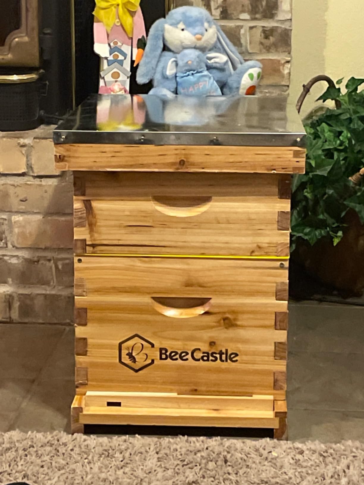 BeeCastle 8 Frame Langstroth Bee Hive Coated with Beeswax Includes Beehive Frames and Waxed Foundations (1 Deep Box & 1 Medium Box) customer photo 1