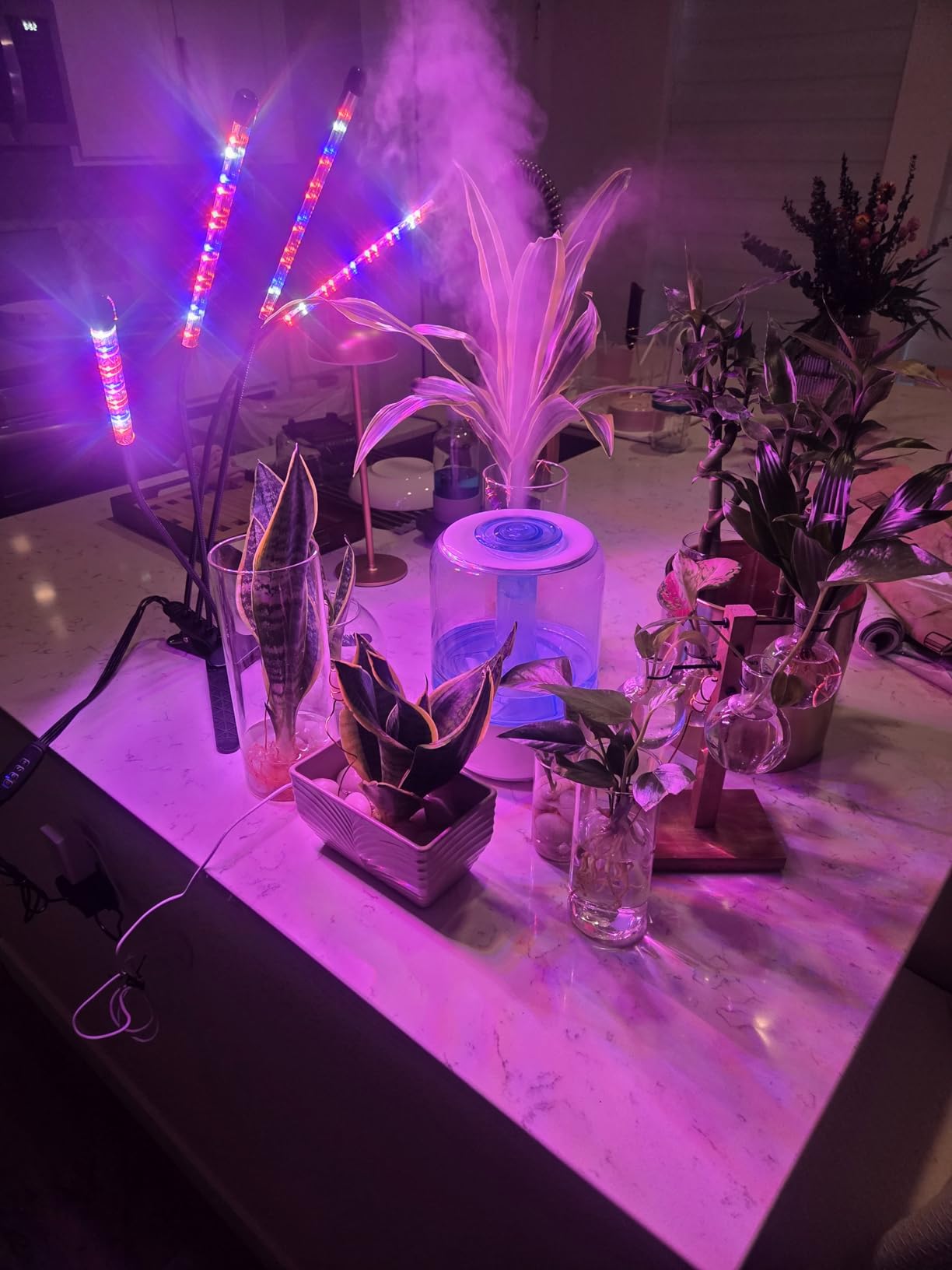LEOTER Grow Light for Indoor Plants - Upgraded Version 80 LED Lamps with Full Spectrum & Red Blue Spectrum, 3/9/12H Timer, 10 Dimmable Level, Adjustable Gooseneck, 3 Switch Modes customer photo 1