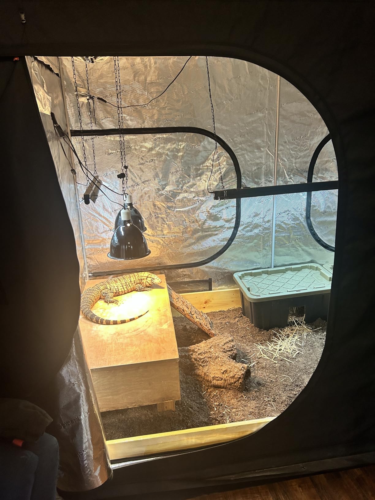 Spider Farmer 3x3 Grow Tent 36