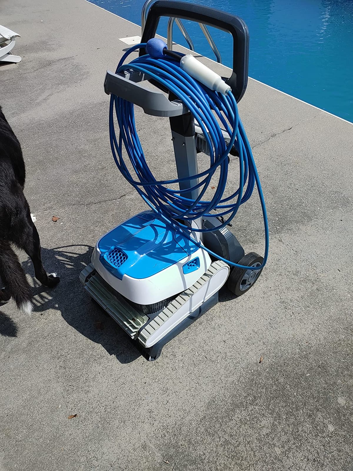 Dolphin Proteus DX4 Plus Automatic Robotic Pool Cleaner Ideal for Pools up to 33 FT, Wall & Sun-ledge Scrubbing, Top-Load Filter, Smart Navigation customer photo 2
