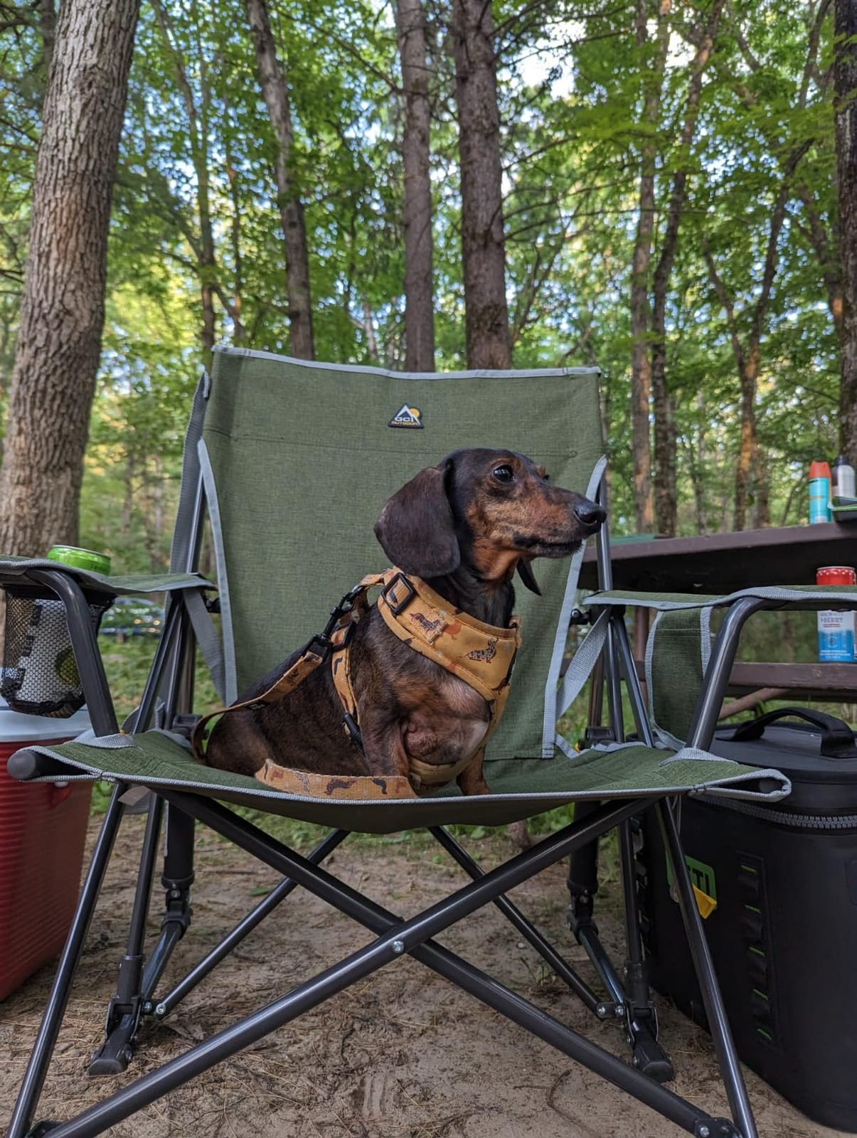 GCI Outdoor Kickback Rocker Camping Chair - Portable Folding Rocking Chair with Durable Armrests, Drink Holder & Relaxed Lowered Seat - Loden Green customer photo 2