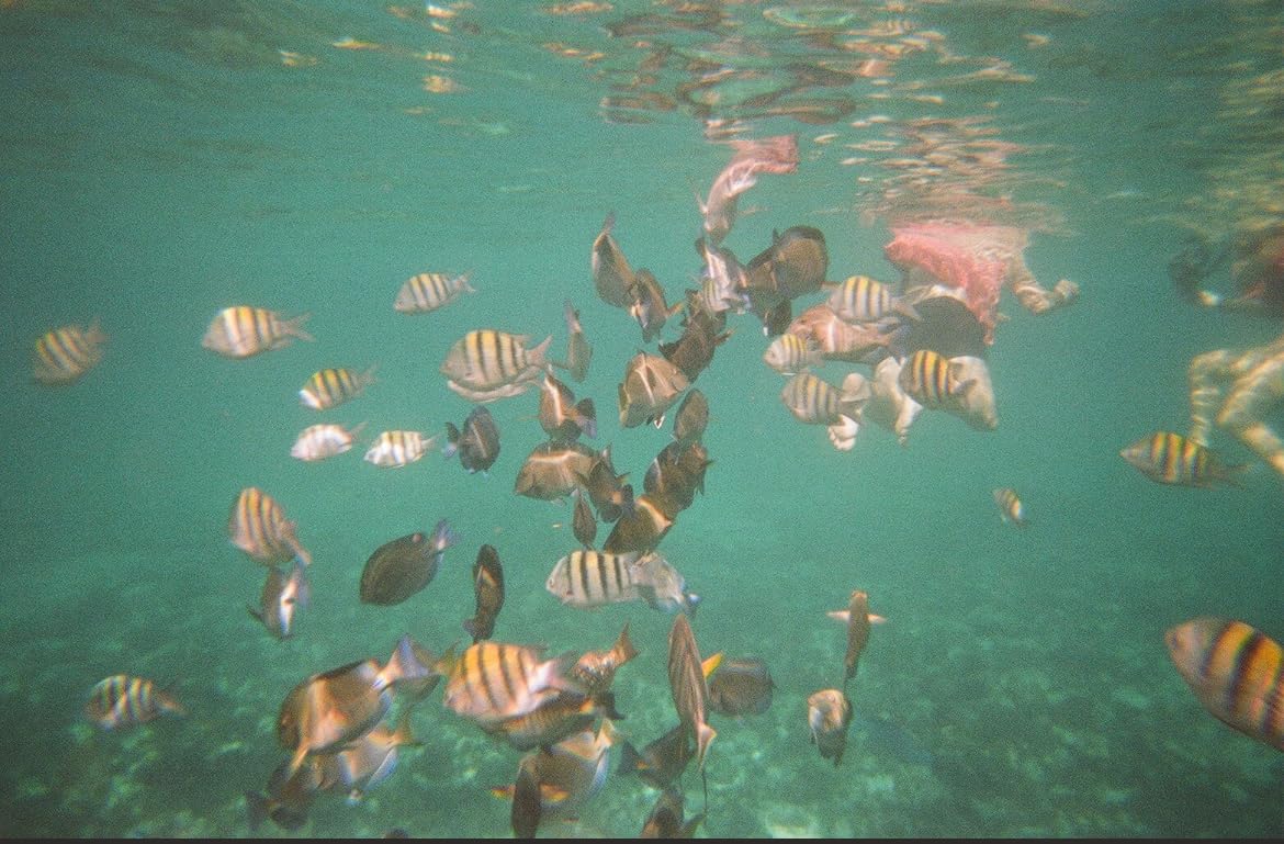 Fujifilm Quick Snap Waterproof 35mm Single Use Camera | Floating Foam Strap (Yellow) customer photo 1