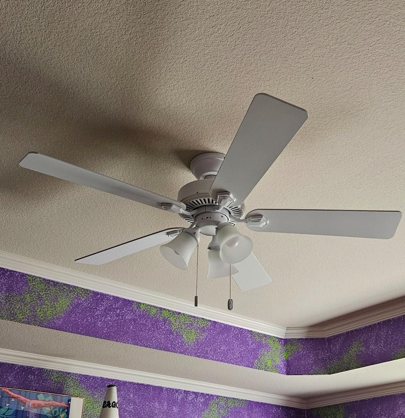Hunter Swanson Indoor Ceiling Fan with LED Lights, 44 inch, Fresh White, Pull Chain, 5 Blades customer photo 1