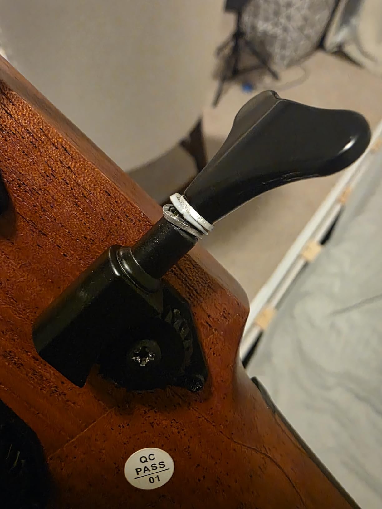 Kala U-BASS-NOMAD-FS Nomad Mahogany U-Bass Acoustic-Electric Ukulele Bass customer photo 2