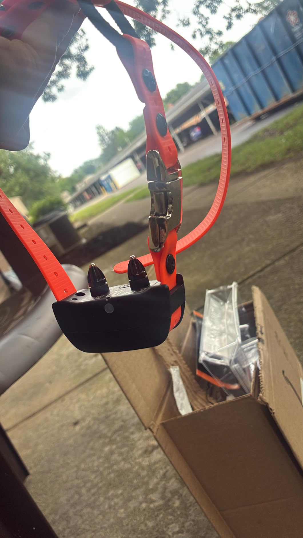 SportDOG Brand YardTrainer 300 Remote Trainer, 300-Yard Range customer photo 1