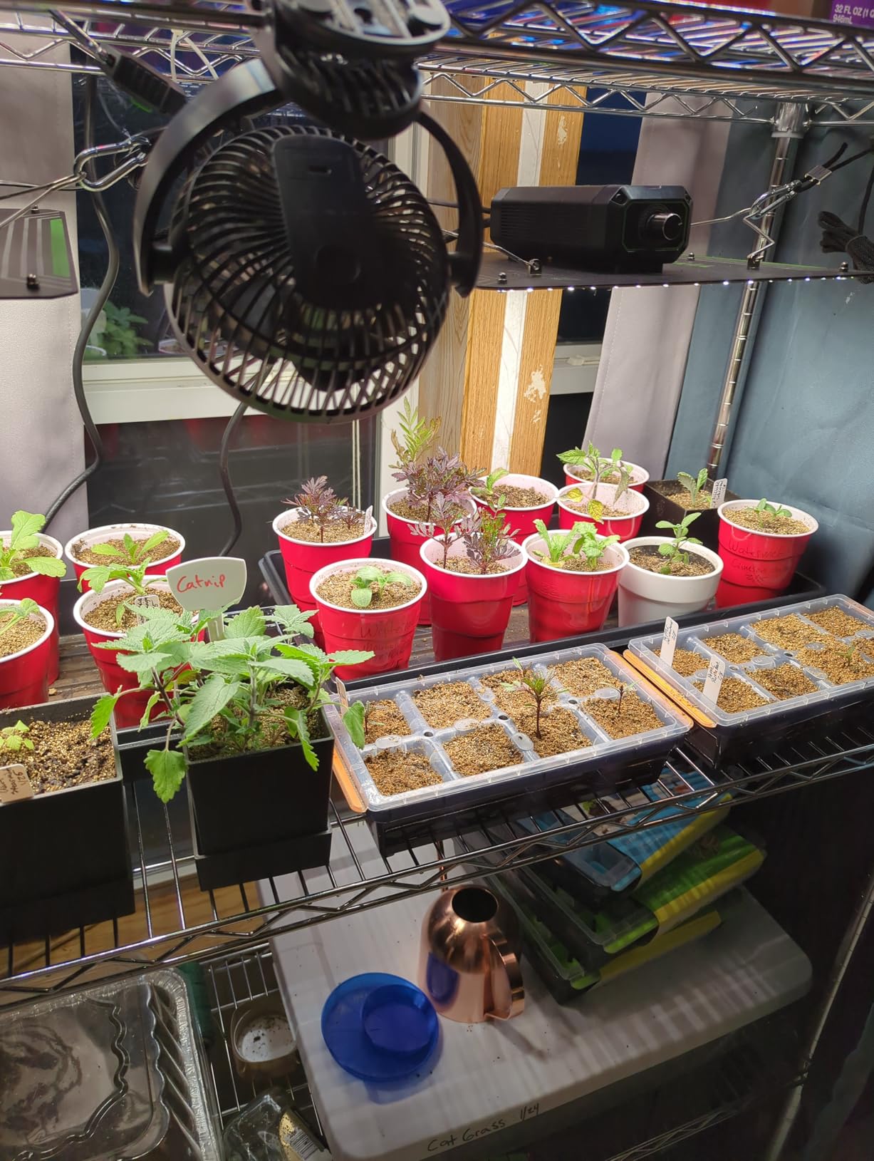 VIVOSUN LumaLight 100W LED Grow Light, Full Spectrum Plant Light customer photo 1