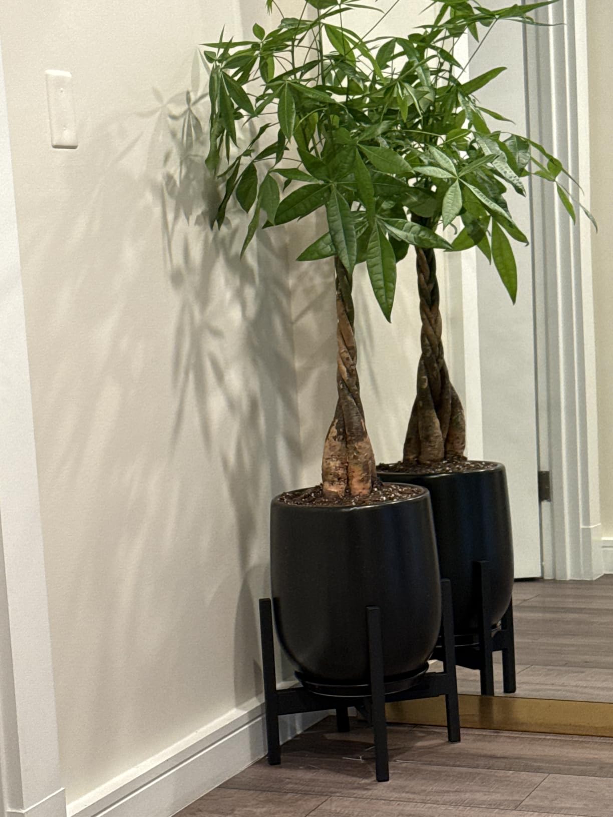 FaithLand Plant Stand, Adjustable Size Fits 12 13 14 15 16 Inches Large Plant Pot, Metal Planter Stand, Mid Century Expandable Plant Holder Indoor Outdoor, Adjustable Width: 12