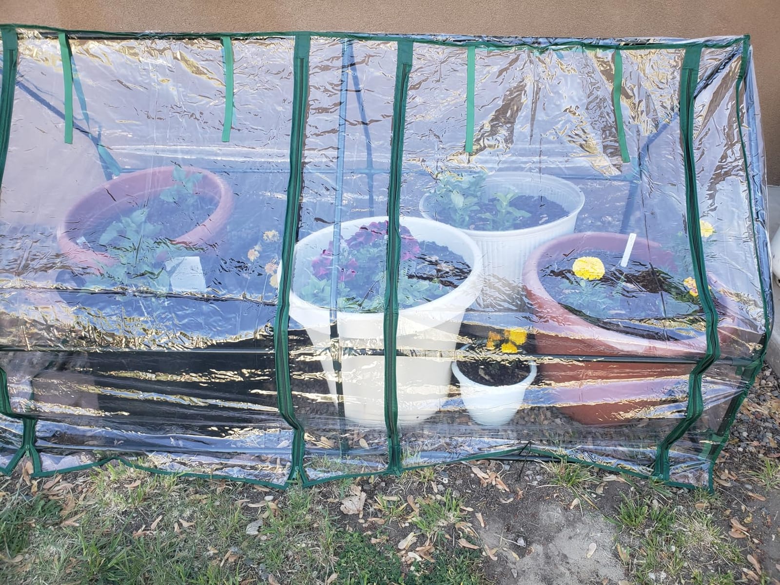 Ohuhu Portable Mini Greenhouse, 71