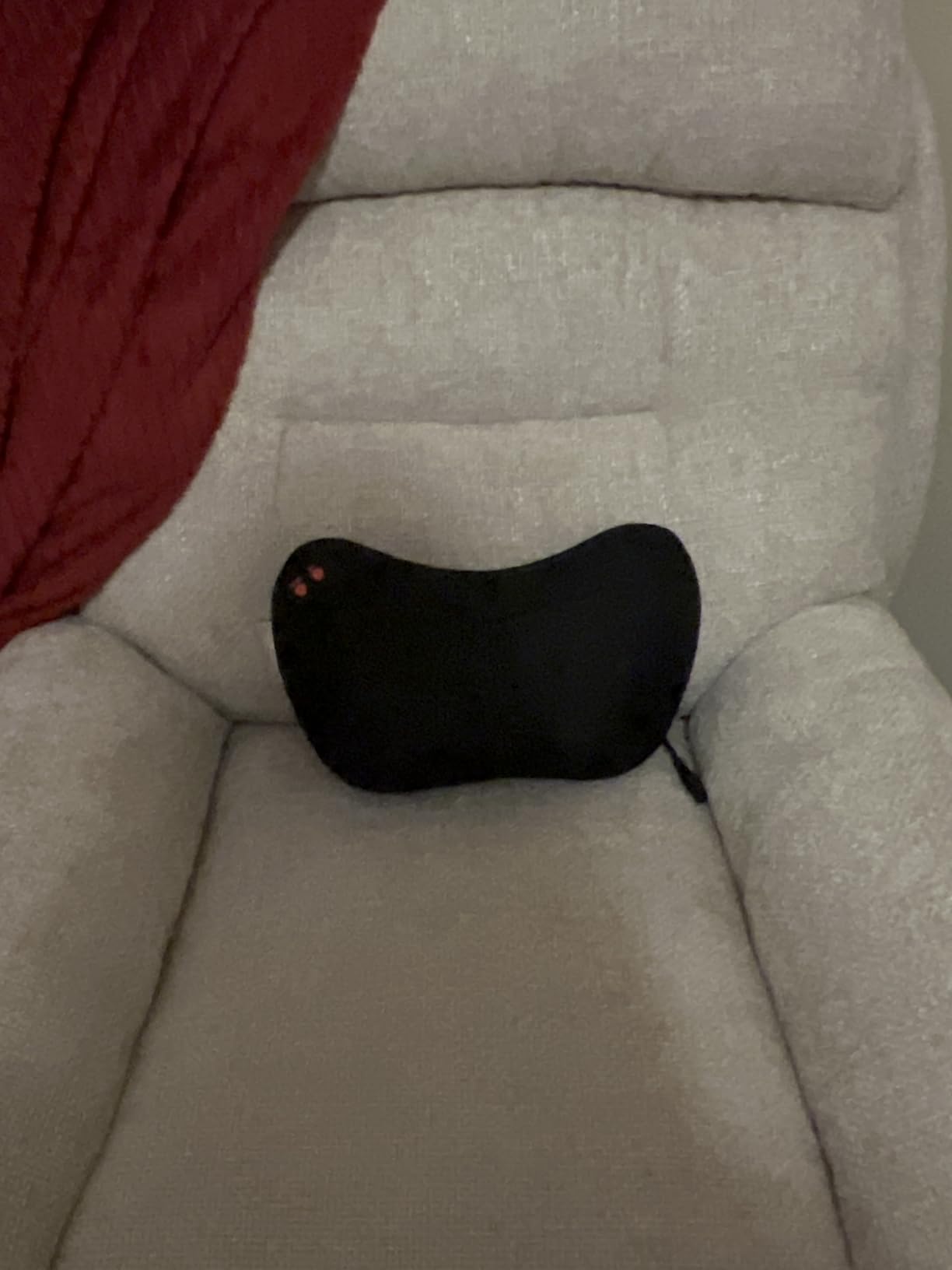Papillon Back Massager with Heat, Shiatsu Pillow for Body Pain Relief Black | Deep Kneading Massager for Neck, Shoulder, Foot & Lower Back, Body Muscle Relaxation, Gifts for Women/Mom/Dad customer photo 1