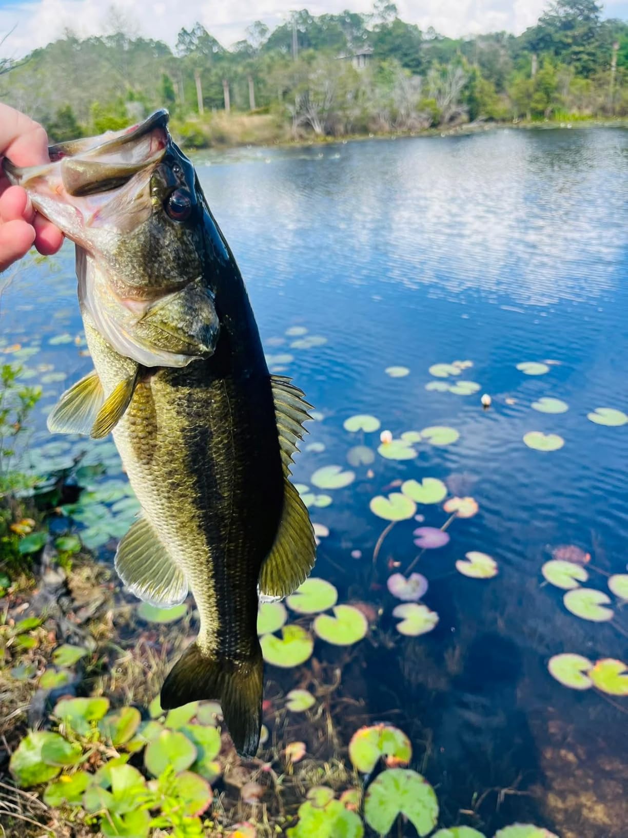 Beyond Braid Braided Fishing Line - Super Strong - Abrasion Resistant - No Stretch - Blue Camo customer photo 1