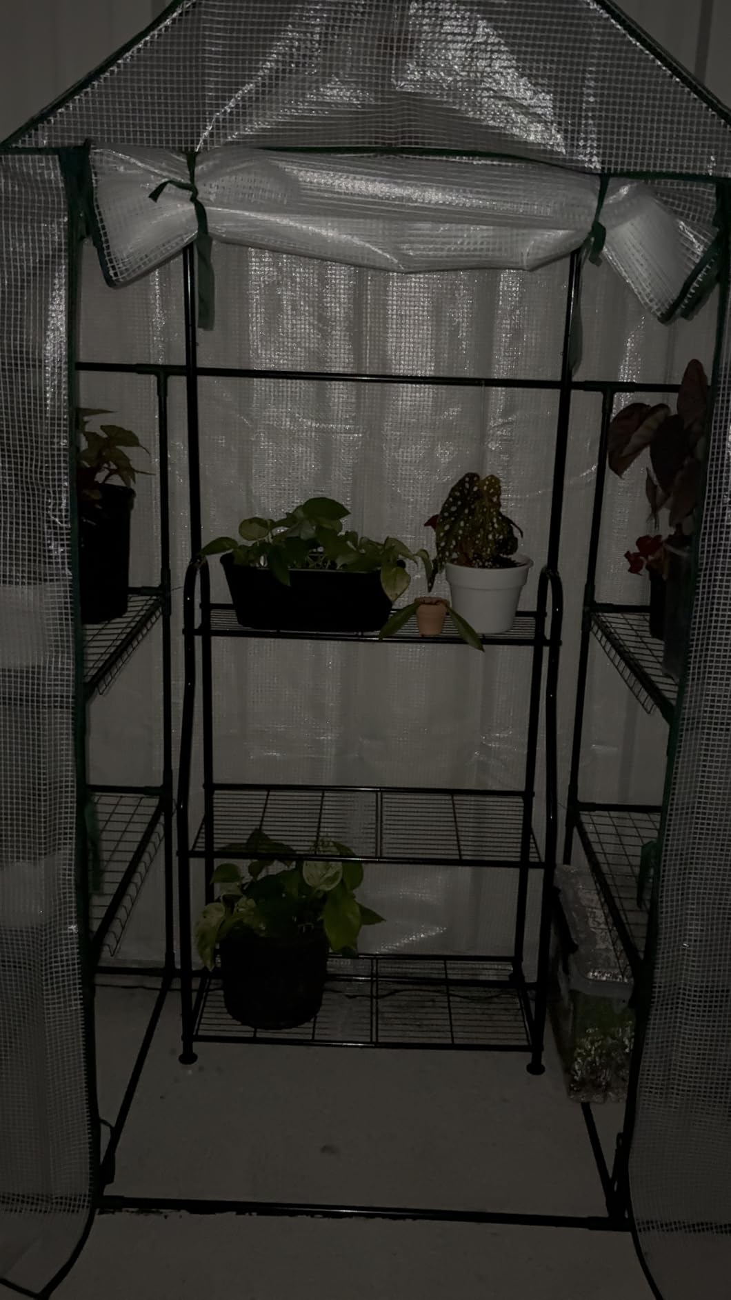56x30x76 Portable Walk-in Greenhouse for Outdoors, Plant House with Shelves customer photo 1